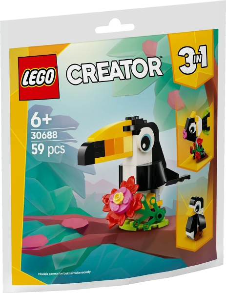 Tropical Toucan