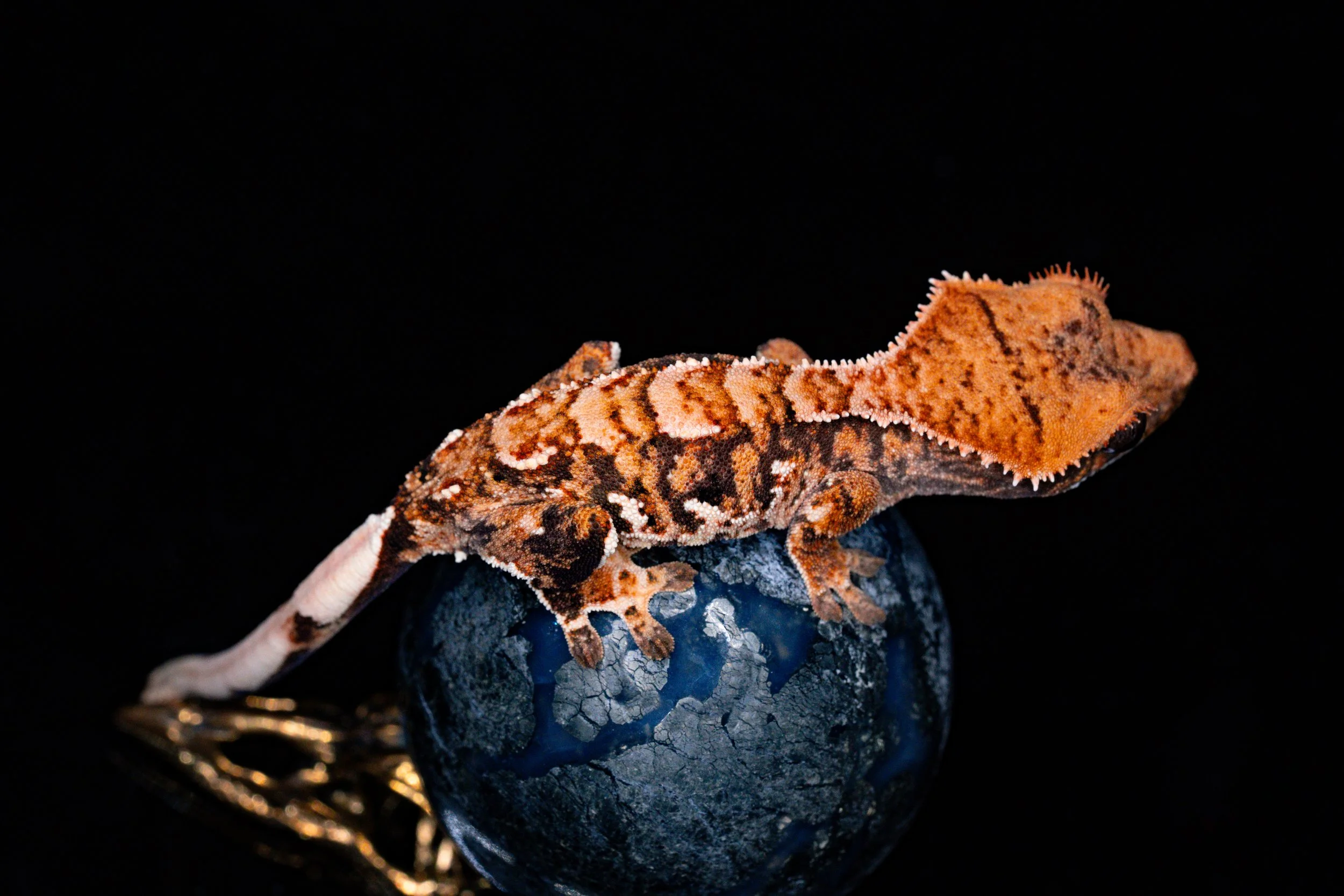 misery business-1-2.jpg