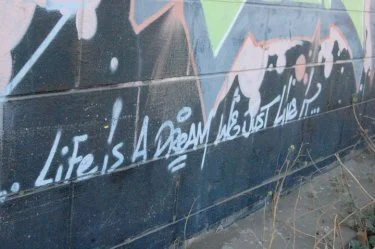 Life is a DREAM 2010 JN.jpeg