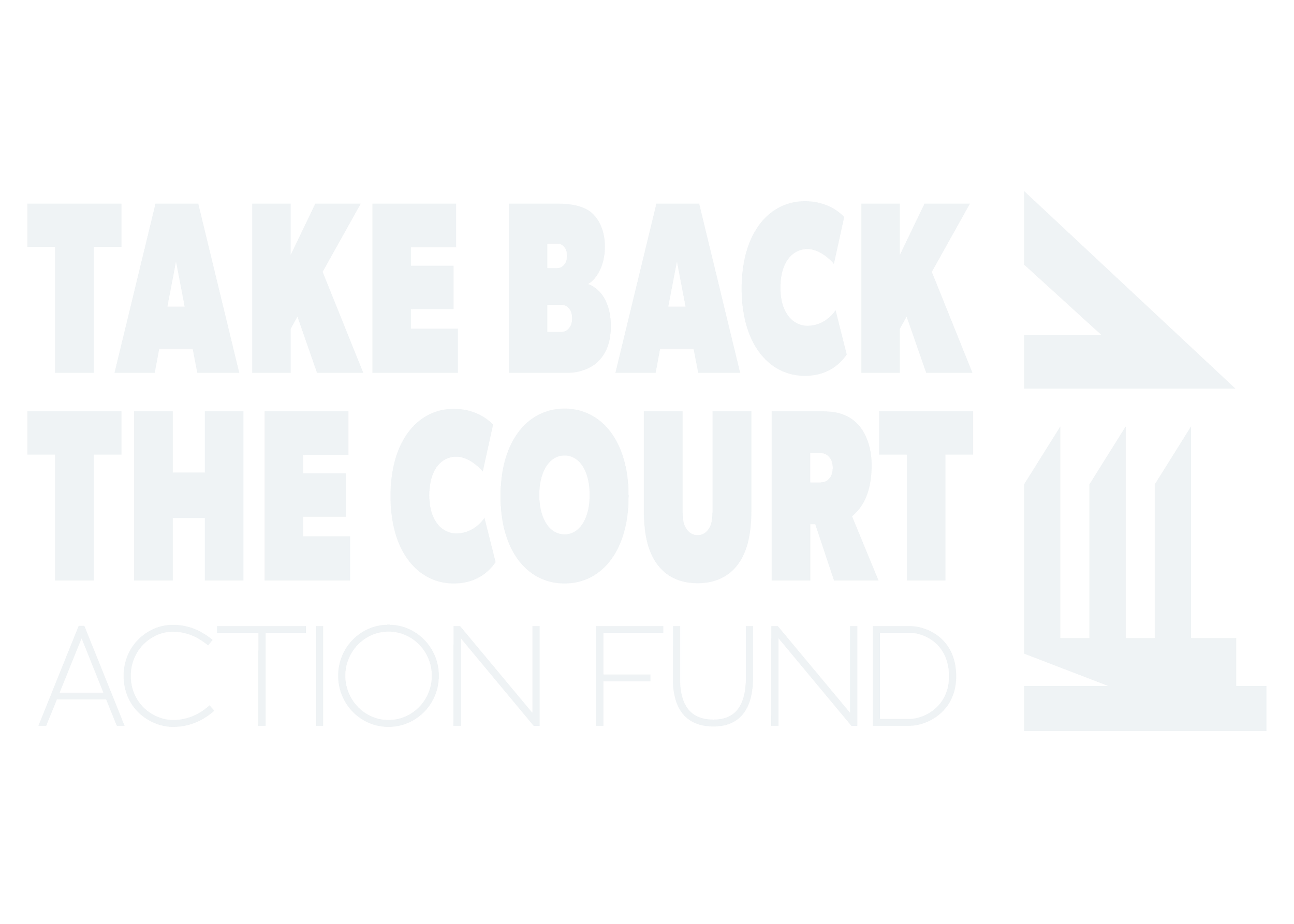 Team — Take Back the Court Action Fund