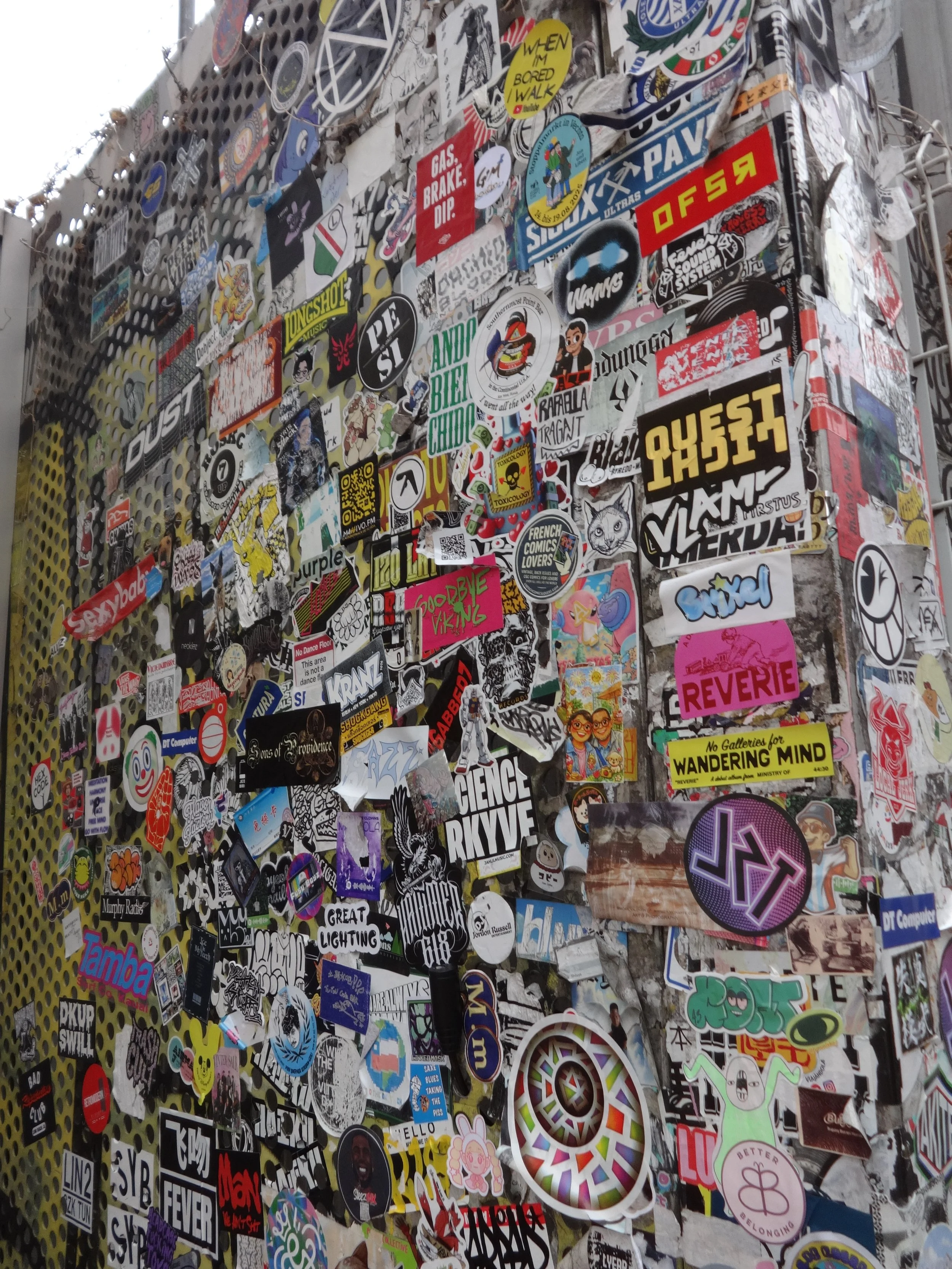 DSC00040.JPG