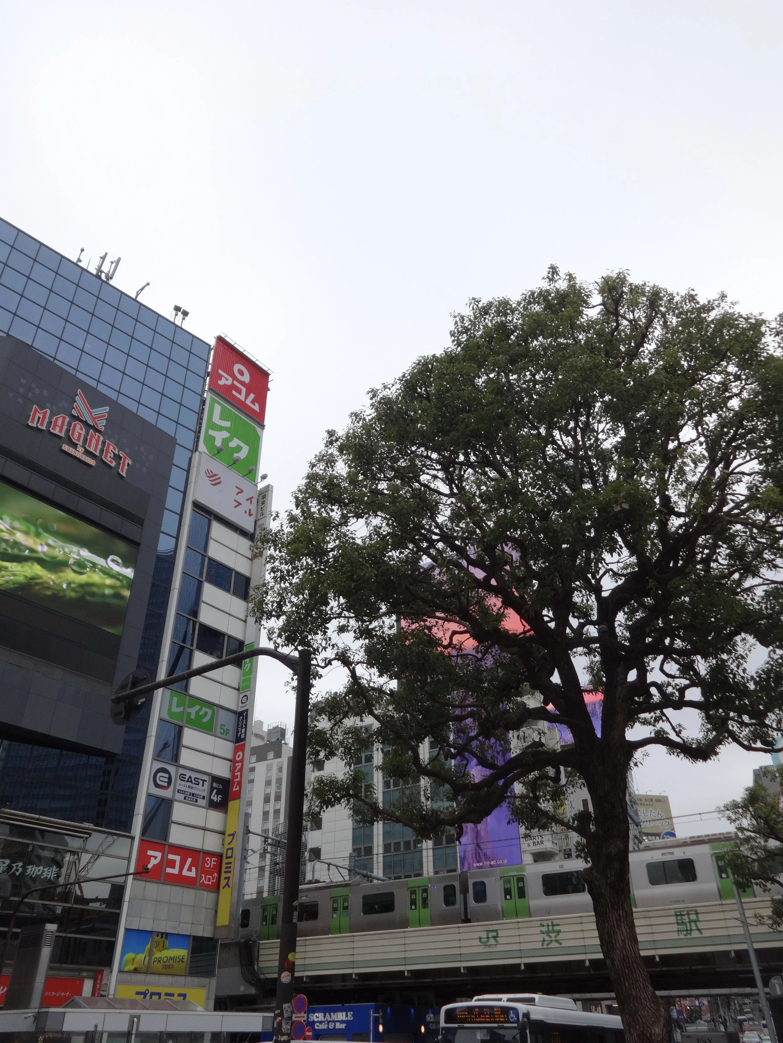 DSC00058.jpg