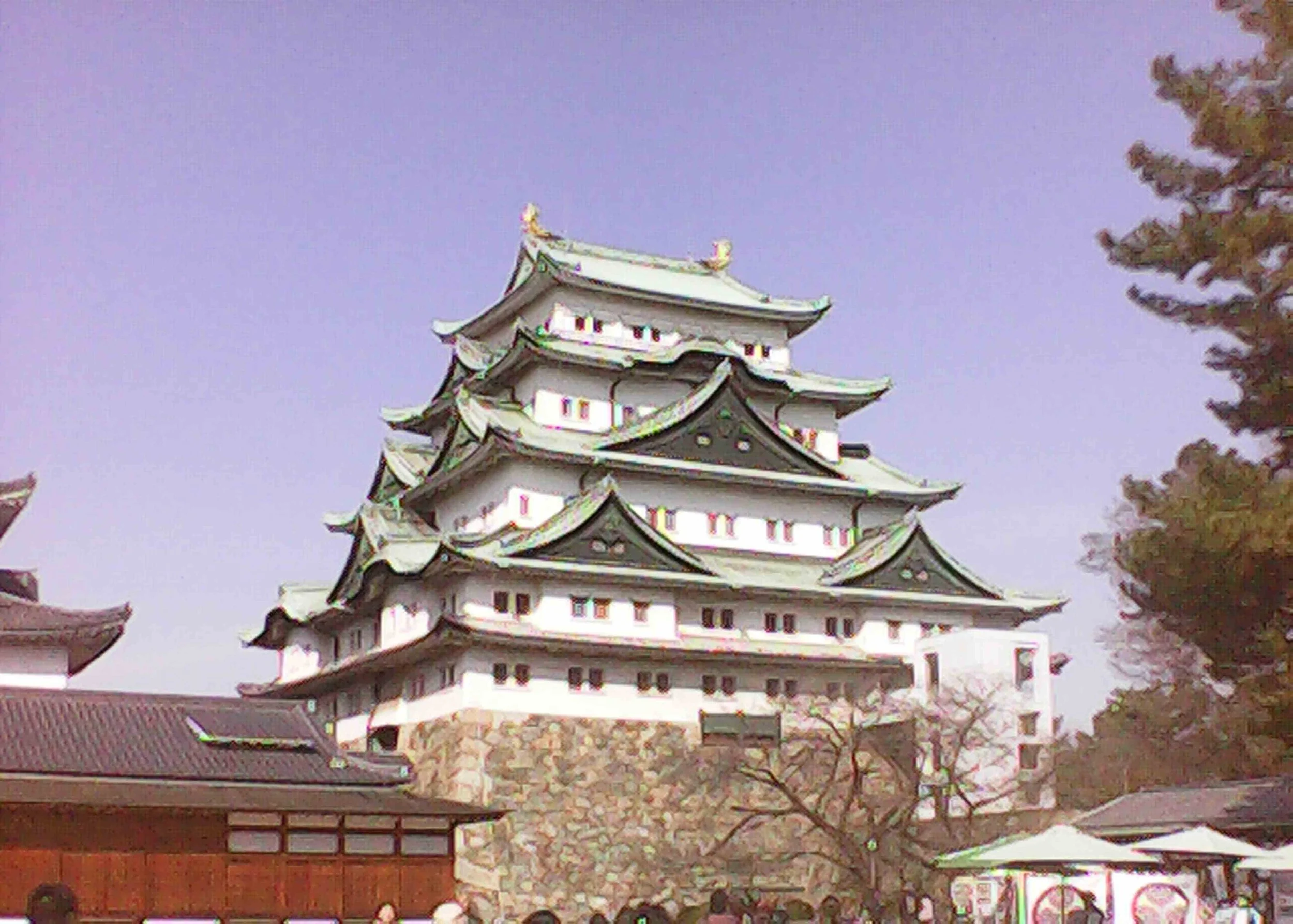 IMG_6797.JPG