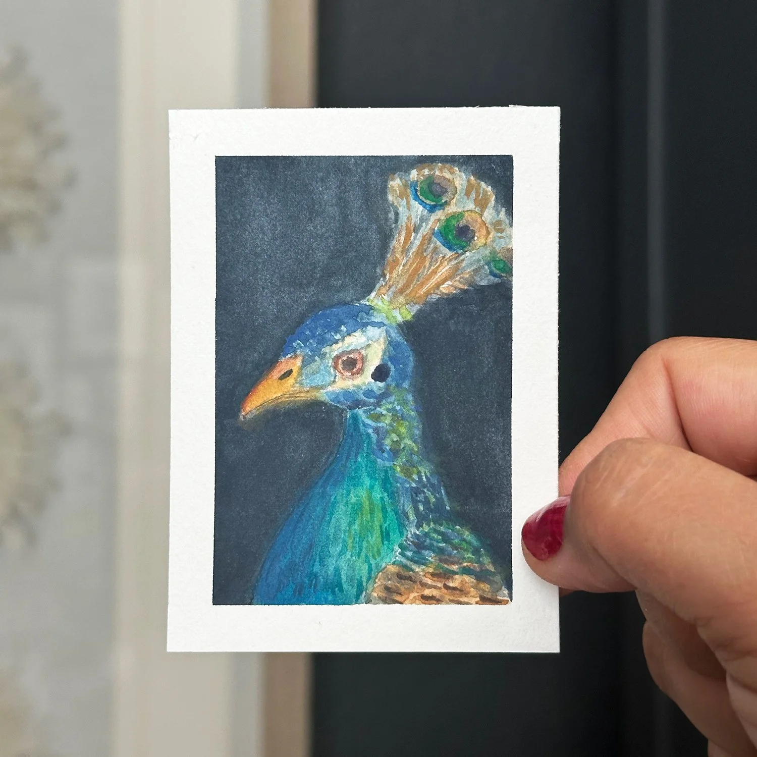 Peacock, Original Art Card Painting
