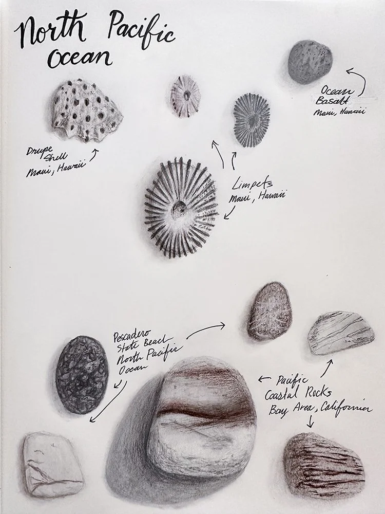 Rock study.jpg