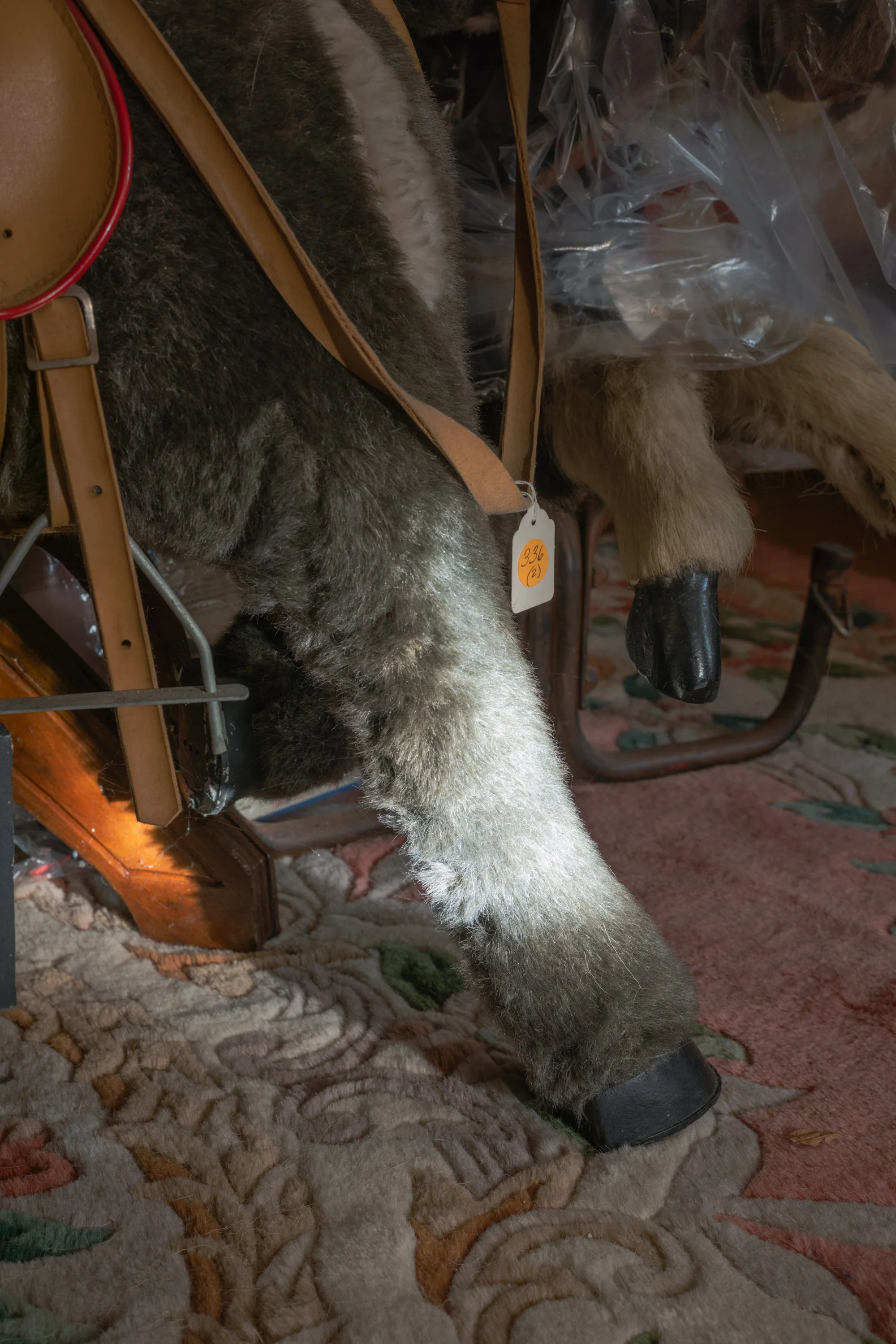 Parlor Room Creatures_Kyndel Whiteford.jpg