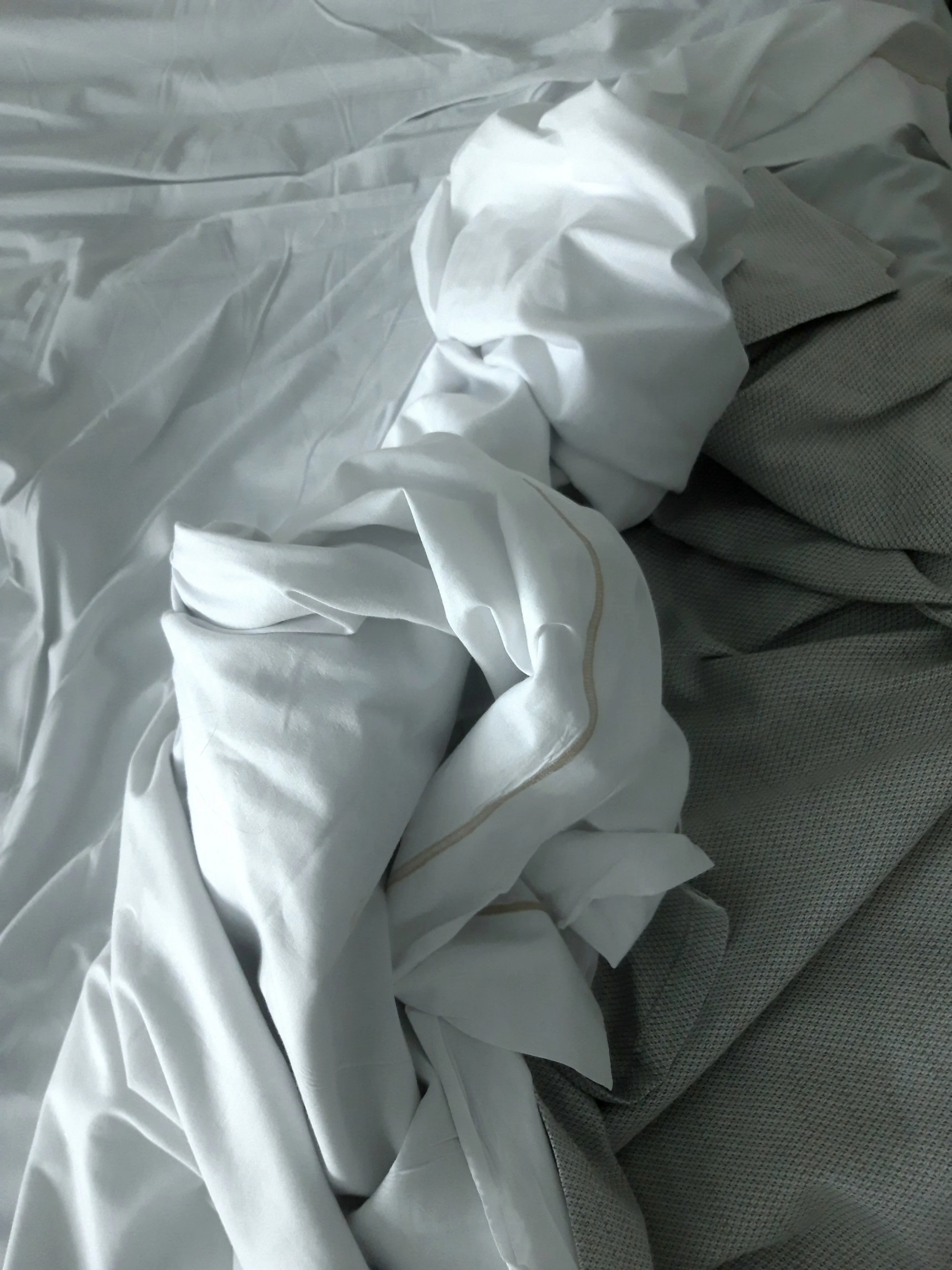 Wioletta Golebiewska