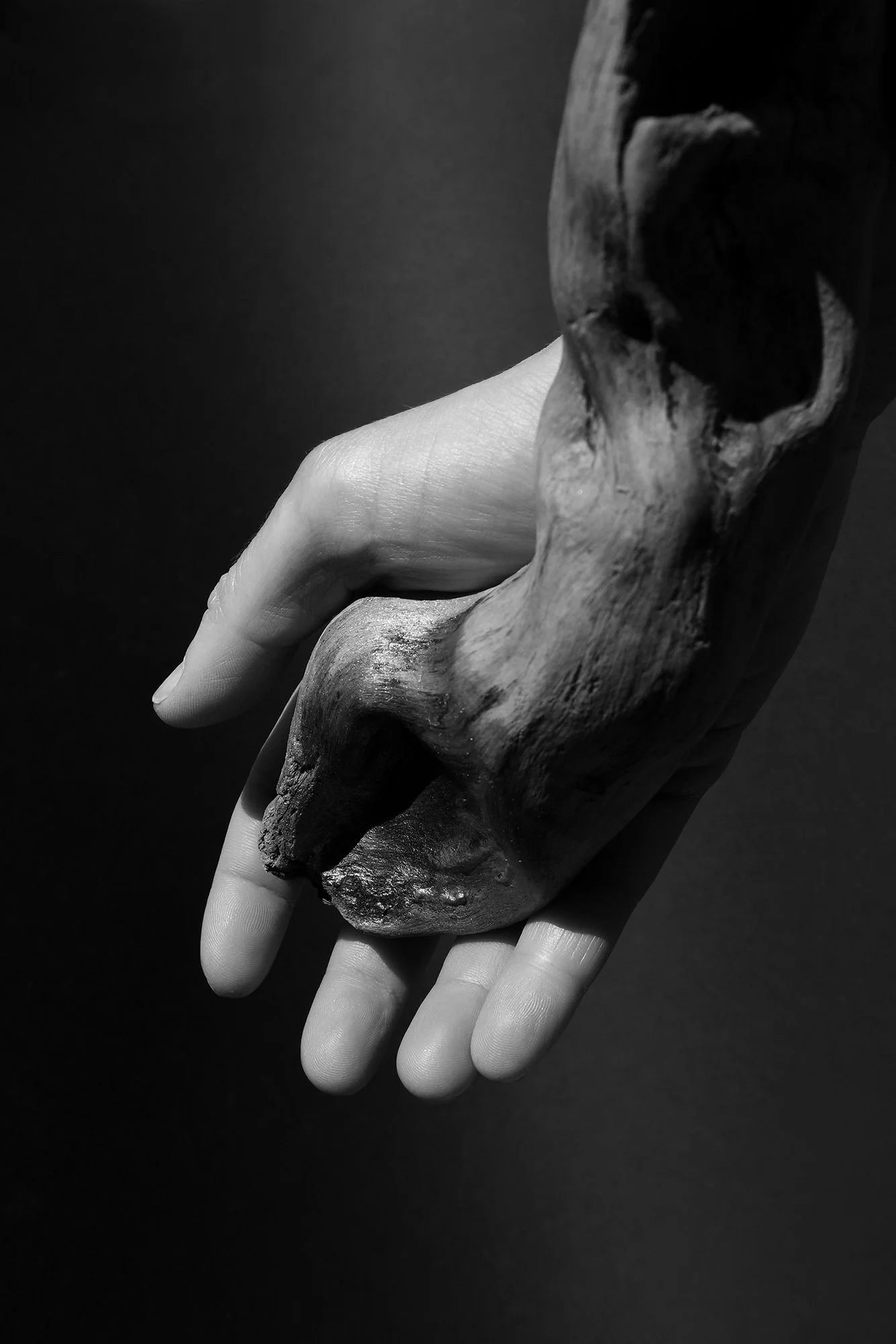 Sonia Poirot - Driven by a desire to rediscover connection, relationship and meaning in a context where these seemed to be fading, and by a lower abdominal surgery that shifted my bodily perception of space and environment, the work “Marcher à pas de