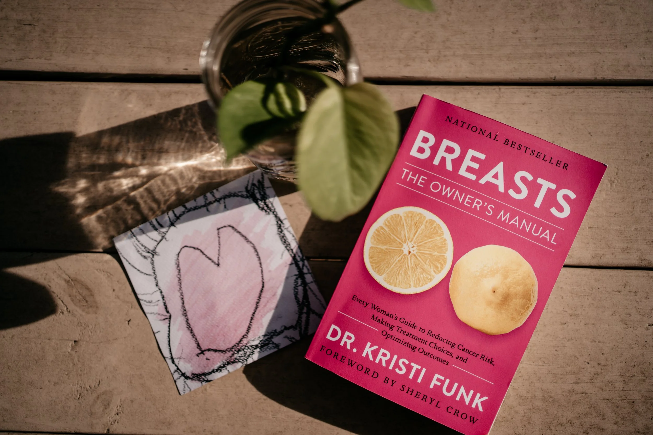 picture from above of plant, breasts book, and painted heart by daughter. breast cancer healing.