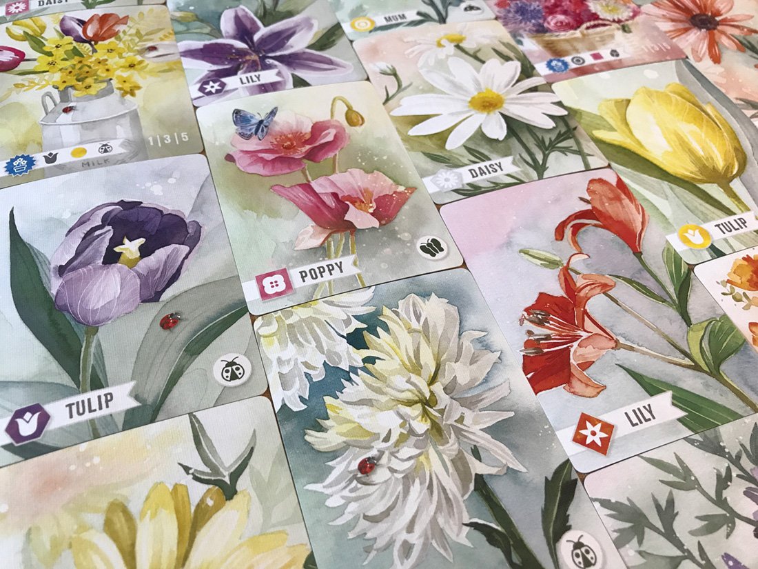 Floriferous-Flower-Card-Assortment.jpeg
