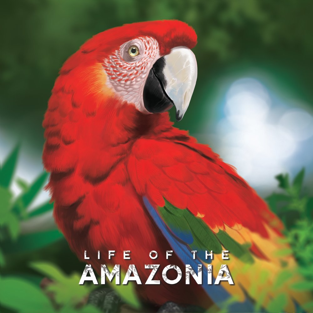 Life of the Amazonia Crowdfunding Tabletop Simulator