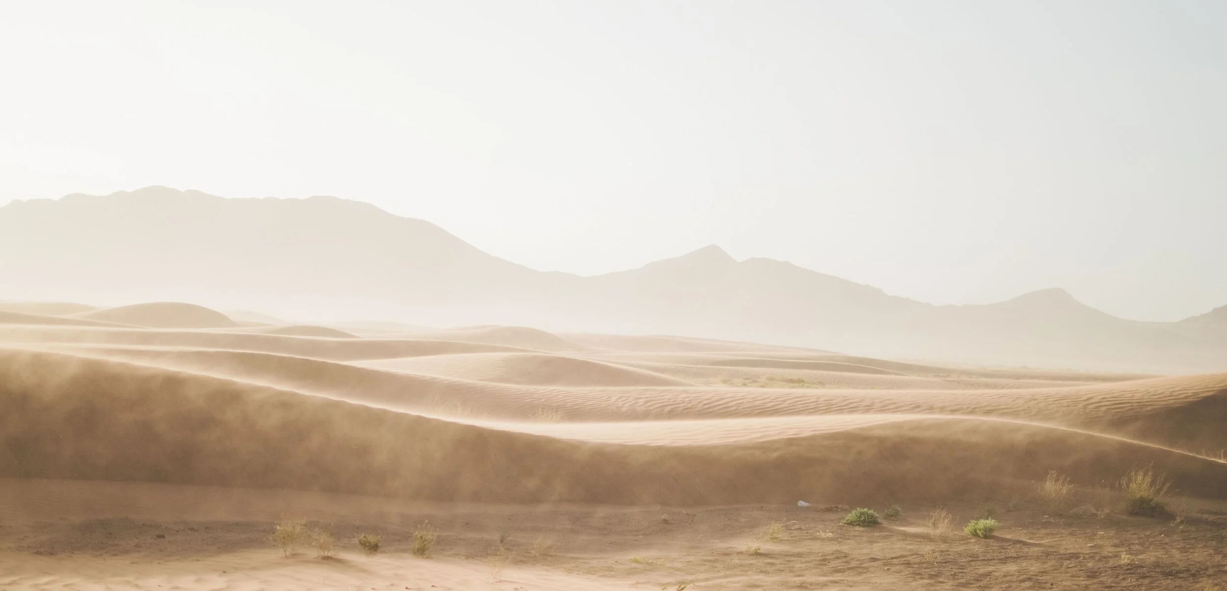 Craftsman Estate Jewelry Co.