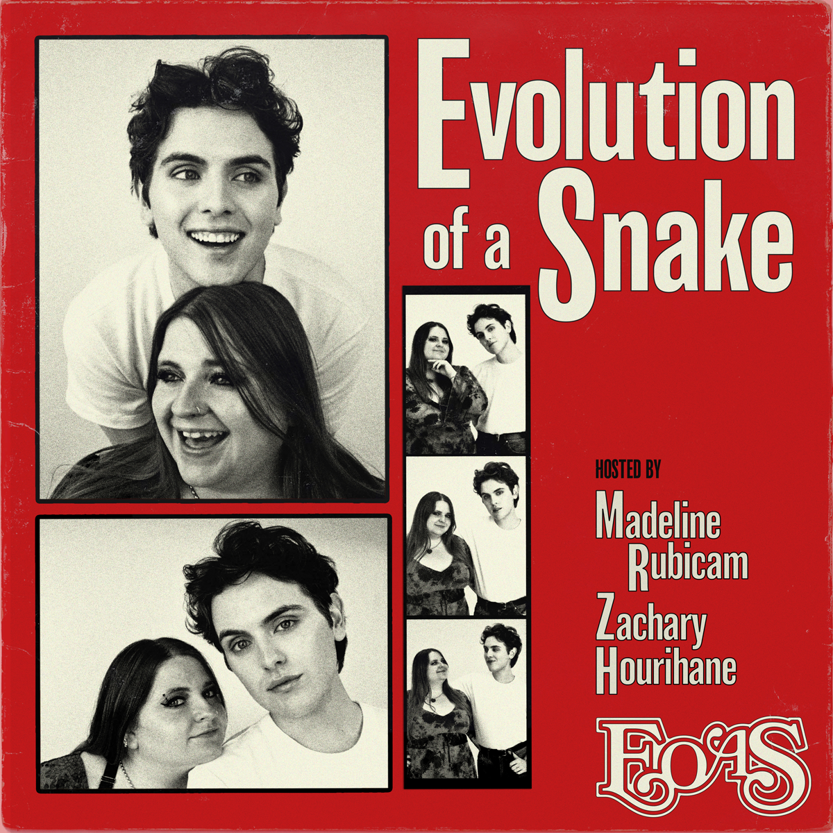 Evolution of a Snake