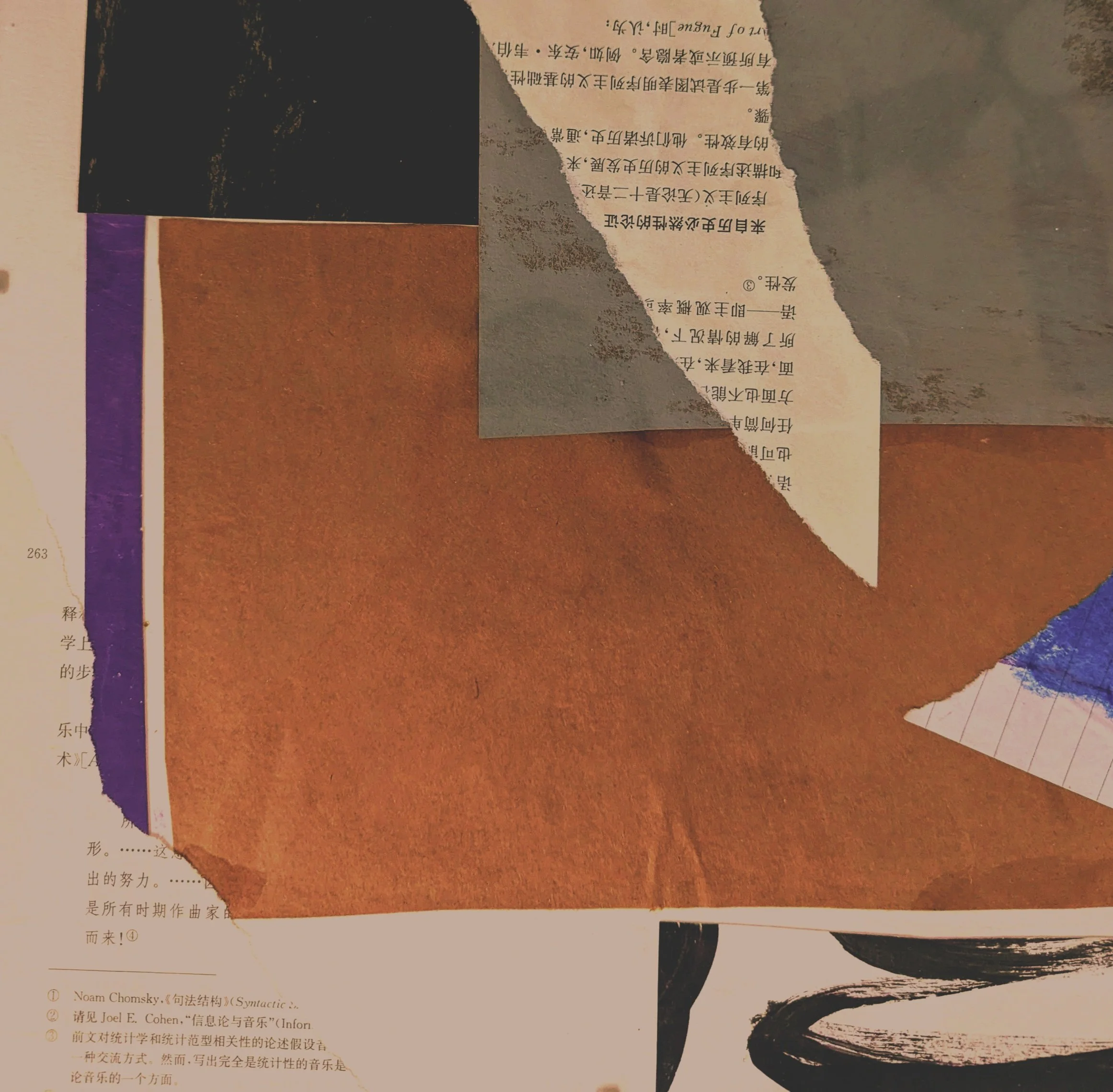 Collage of torn papers, including text in Chinese and English, with various colors and textures, some handwritten and some printed.