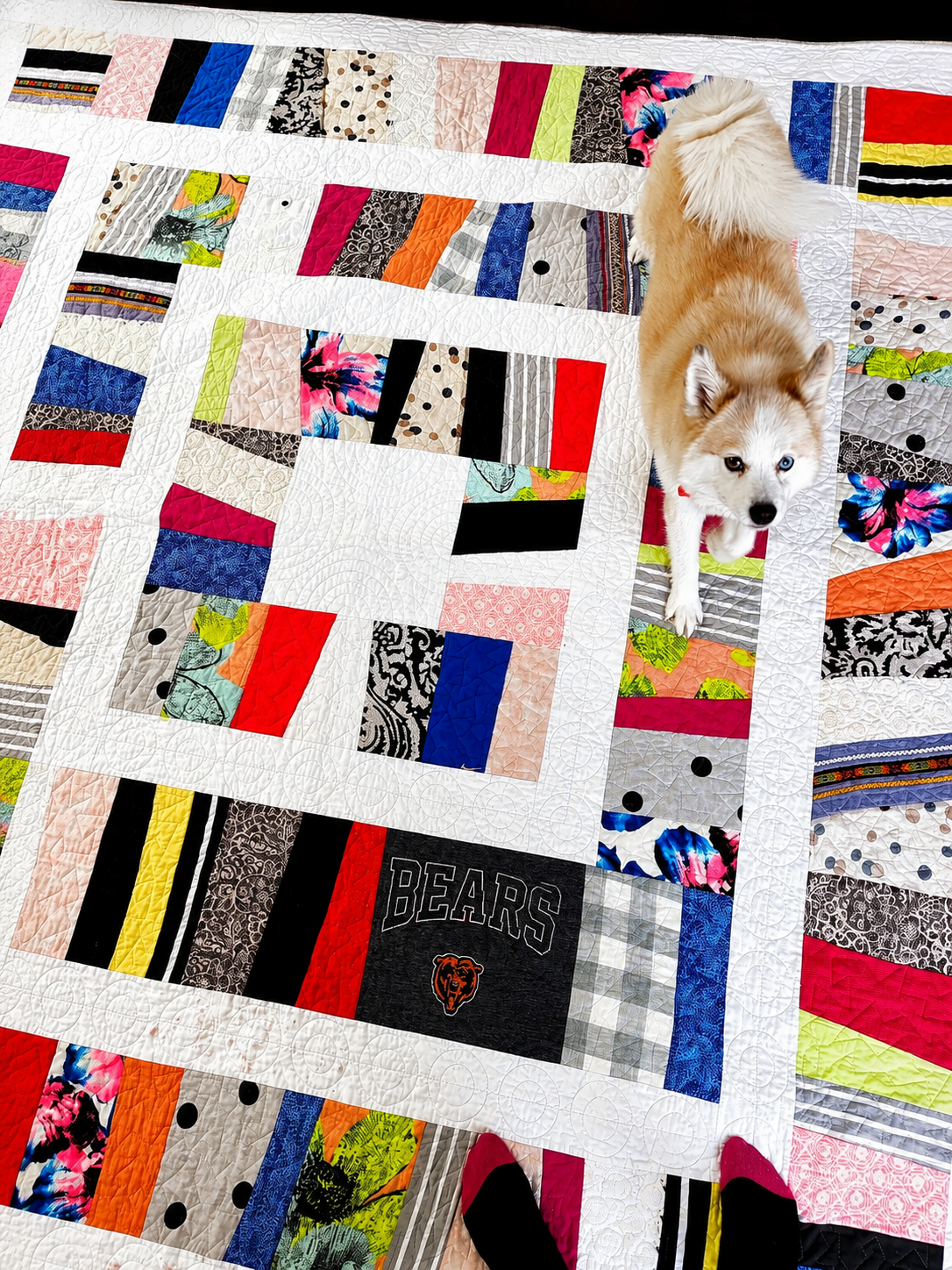 Colorful quilt with various patterned fabric patches and a Siberian Husky puppy with blue eyes standing on it.