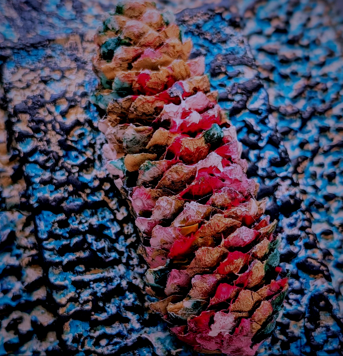 Close-up of a pine cone resting on a textured, pebbled surface.