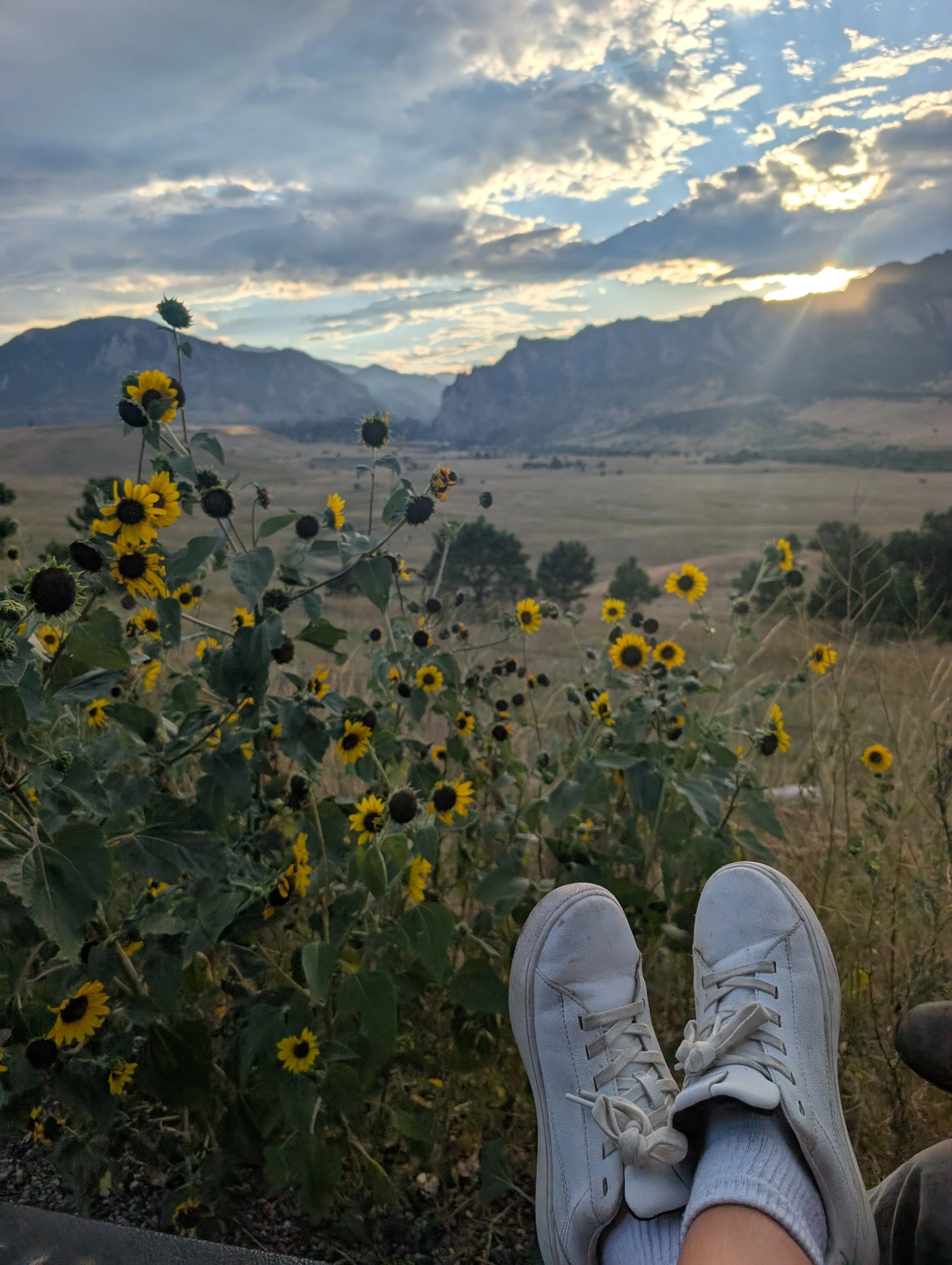 What We're Really Grateful For (When We Stop Long Enough to Notice)