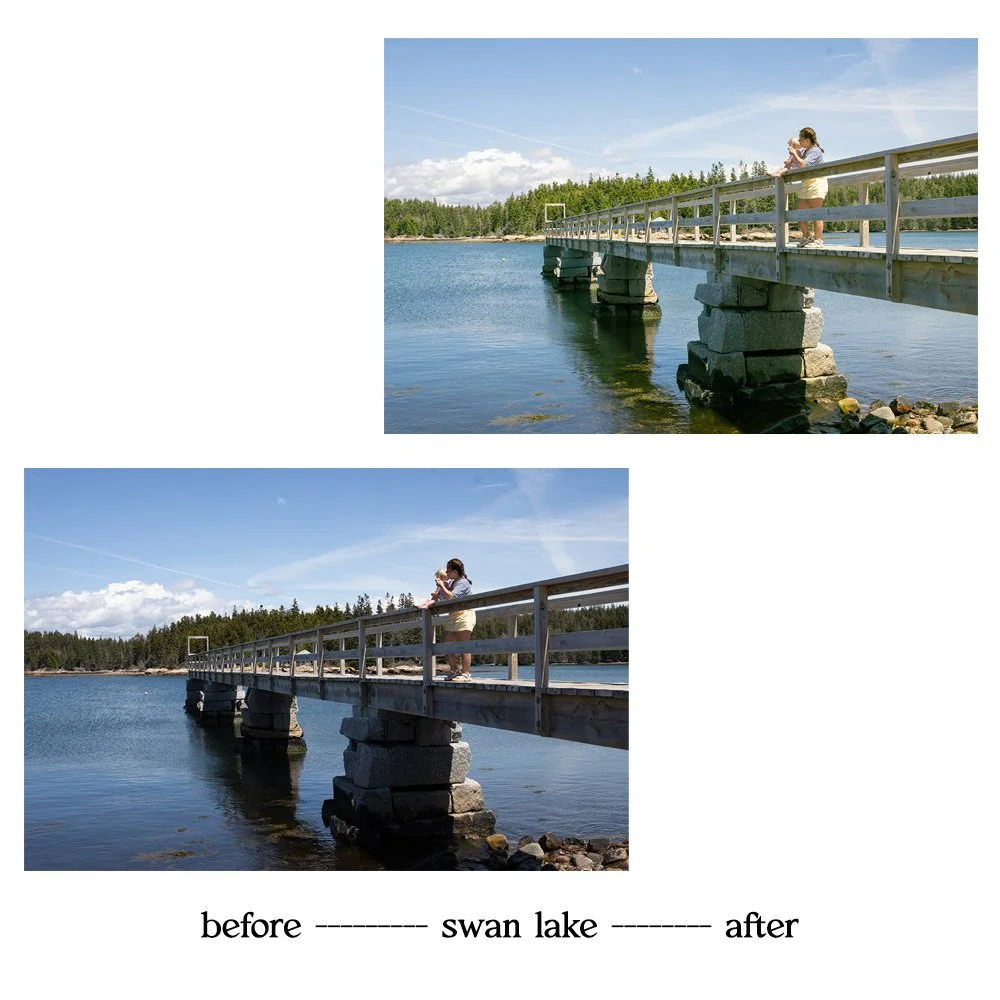 swanlake3.jpg