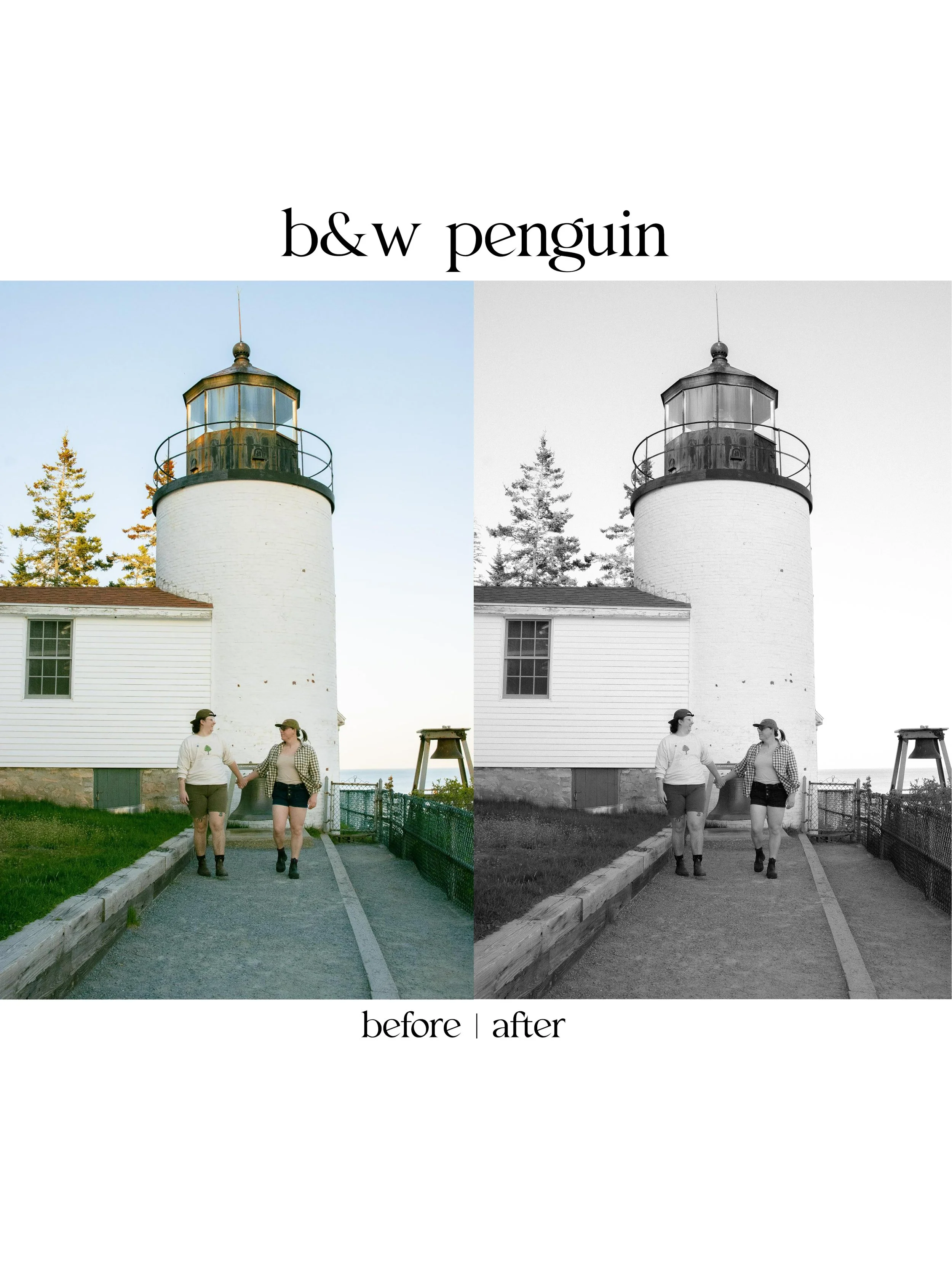 penguin1.jpg