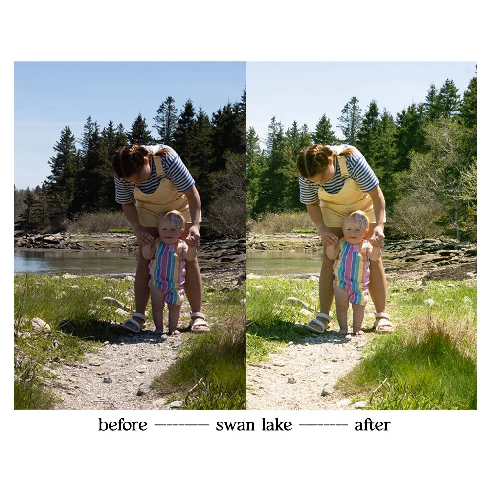 swanlake1.jpg