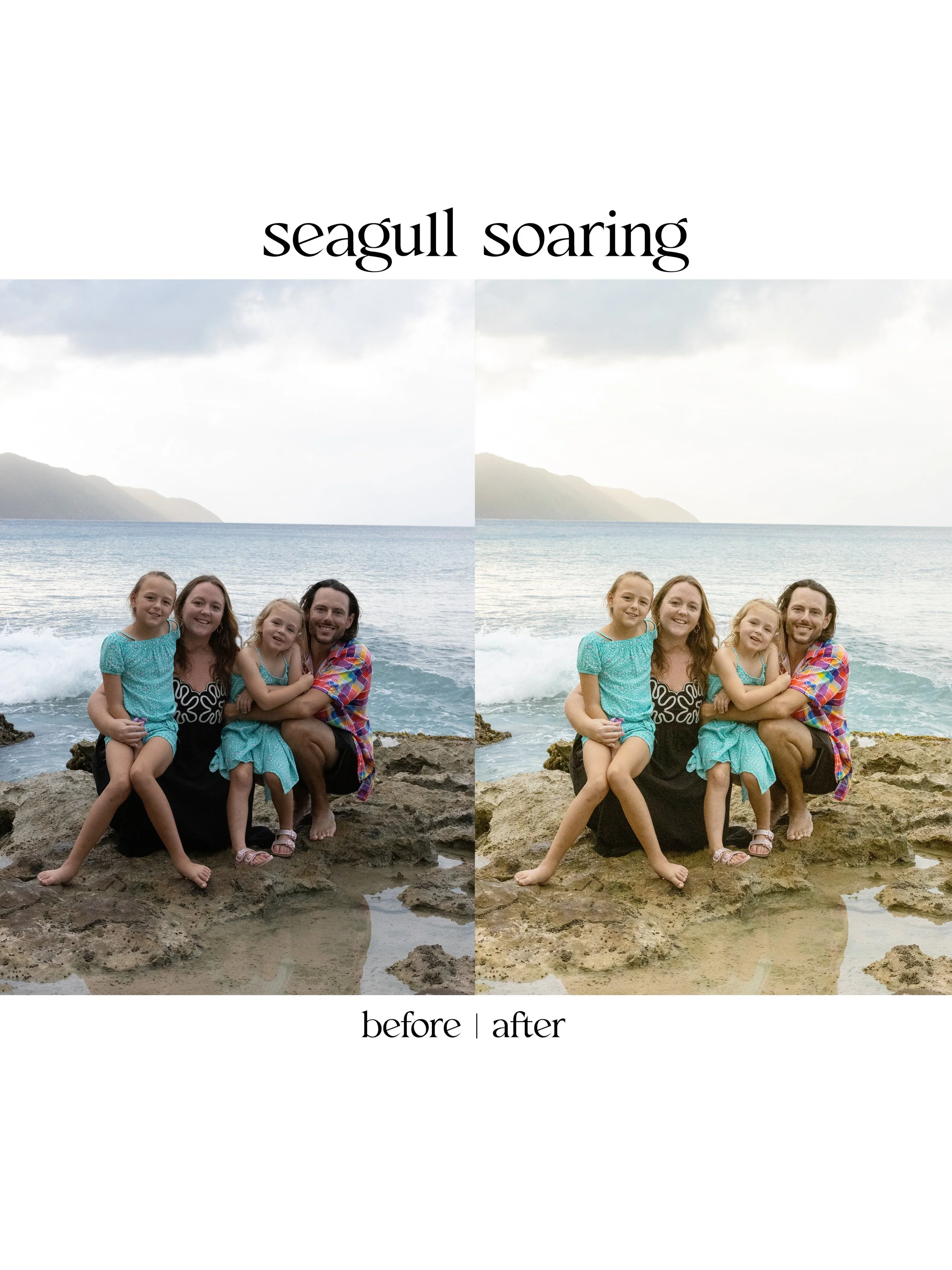 seagull2.jpg