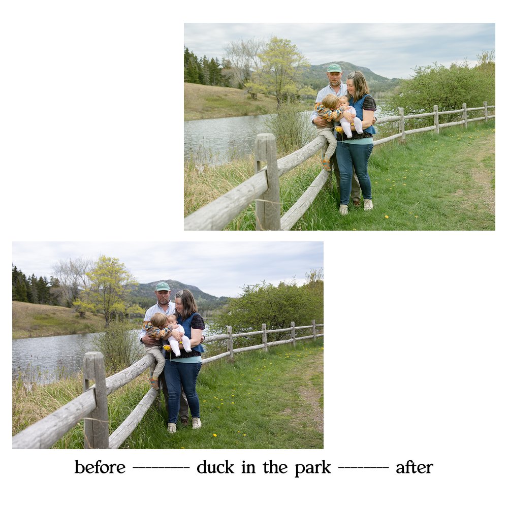 duckinthepark3.jpg