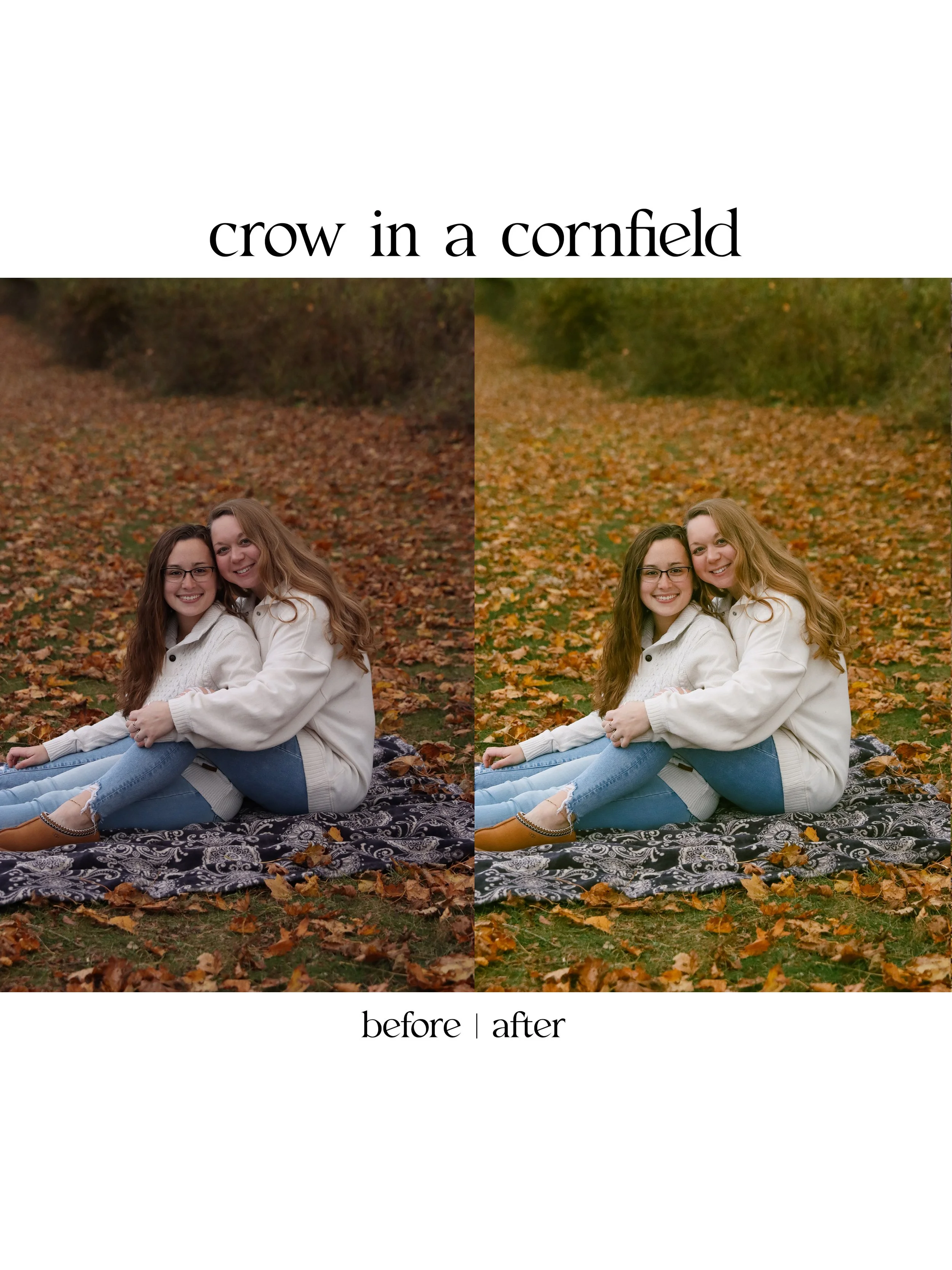 crow2.jpg