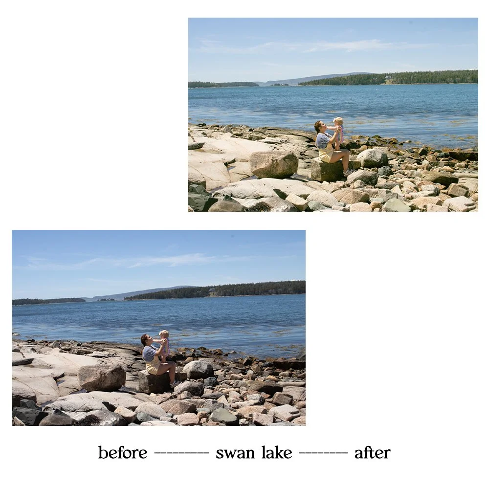 swanlake2.jpg