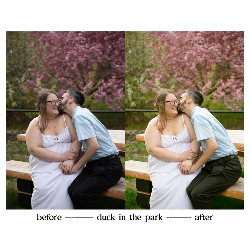 duckinthepark2.jpg