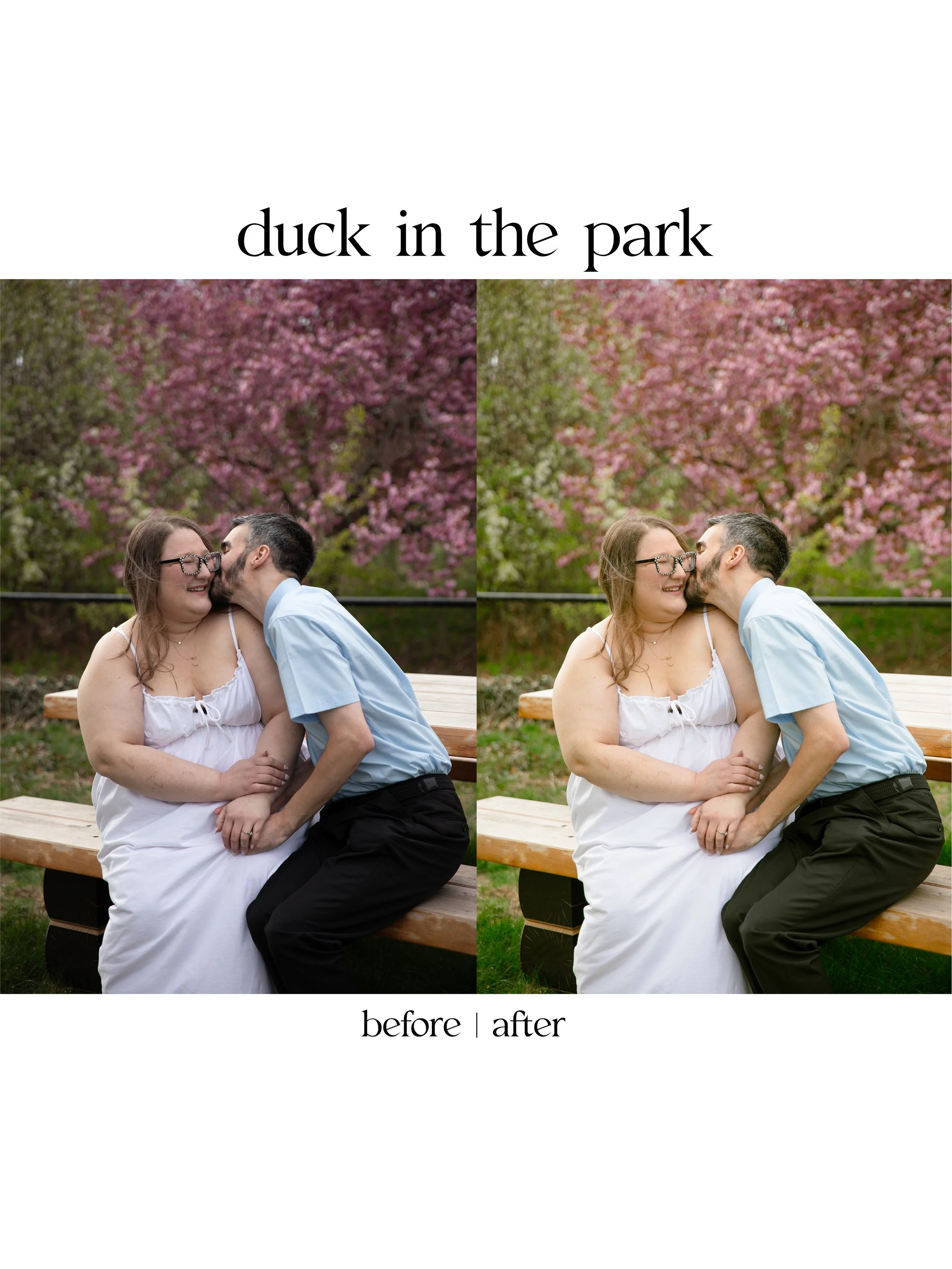 duck1.jpg