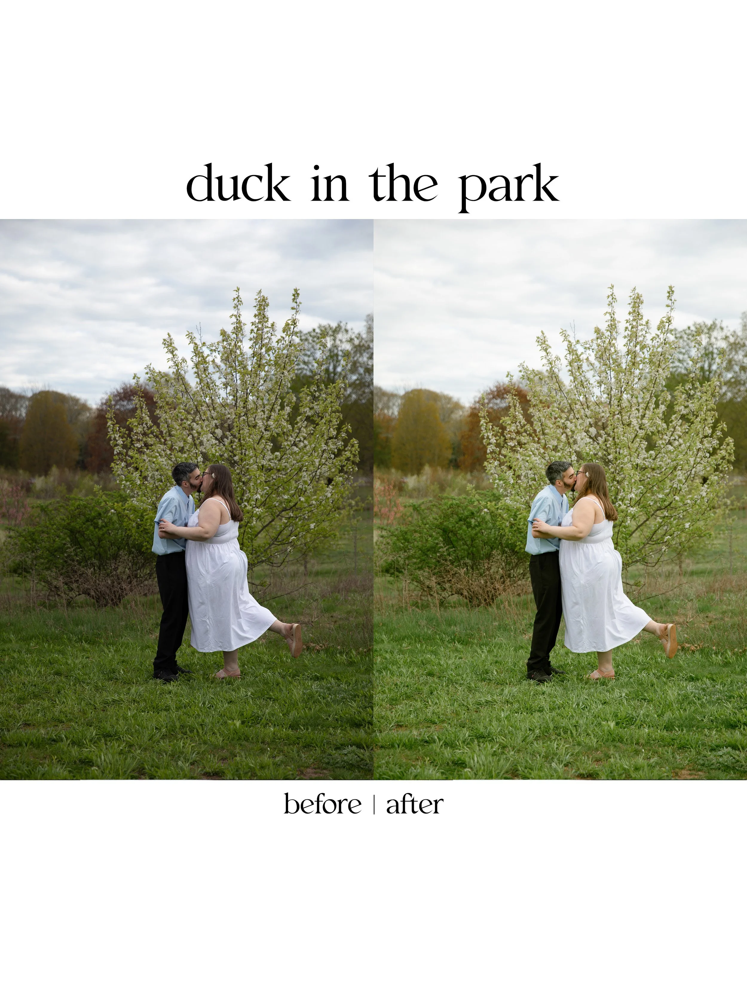 duck2.jpg