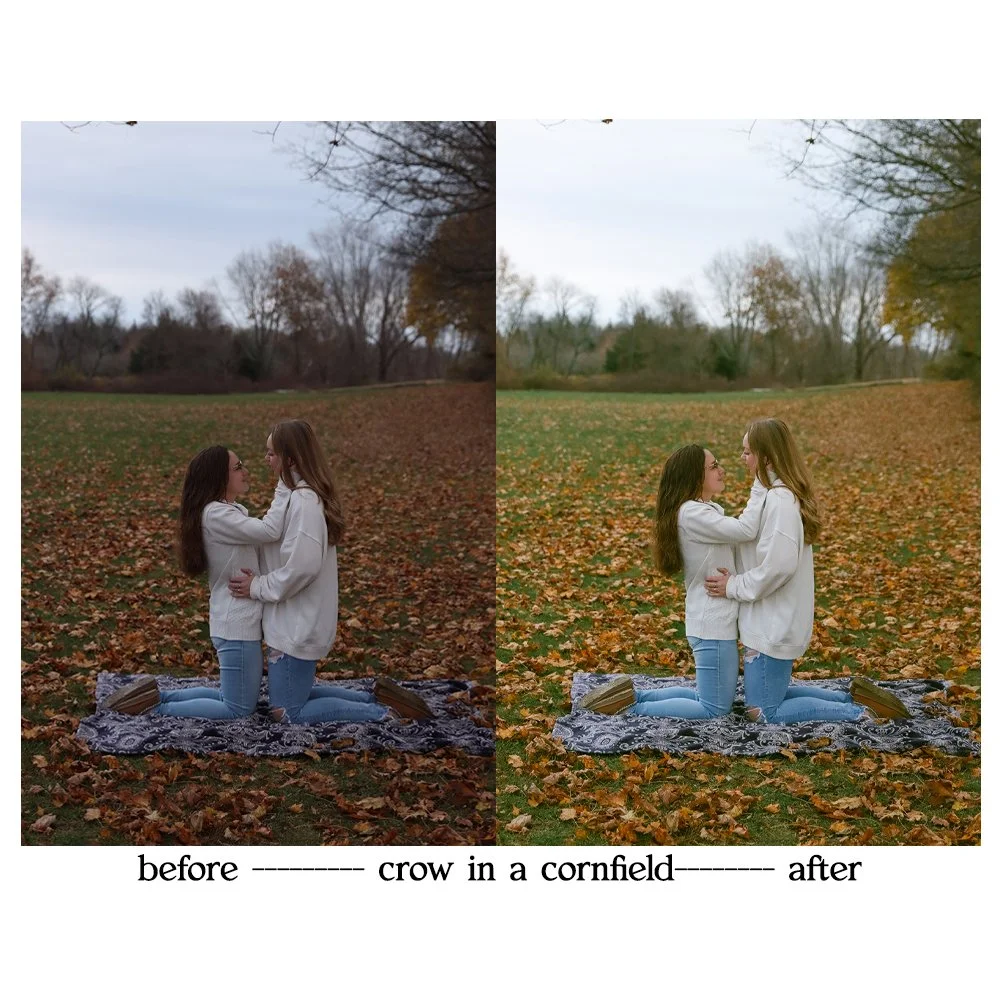 crow3.jpg