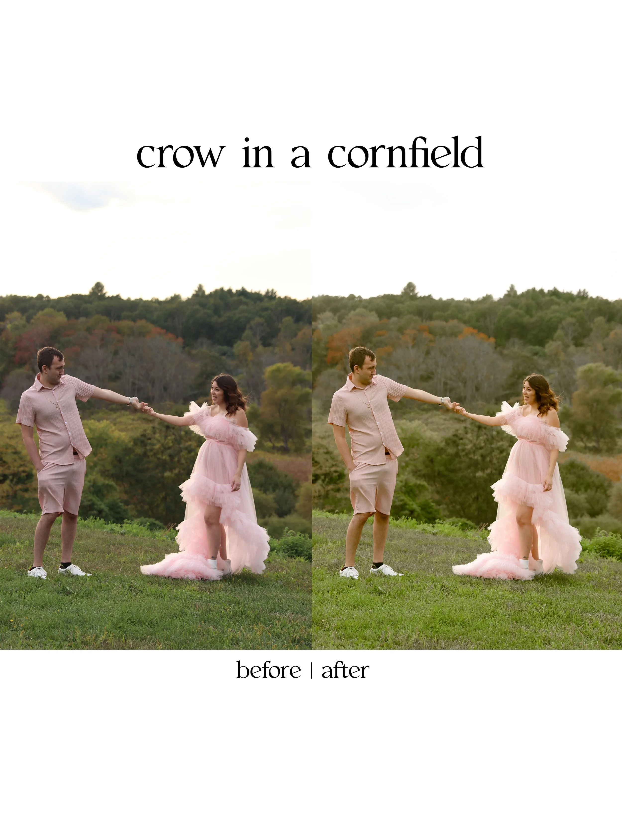 crow3.jpg