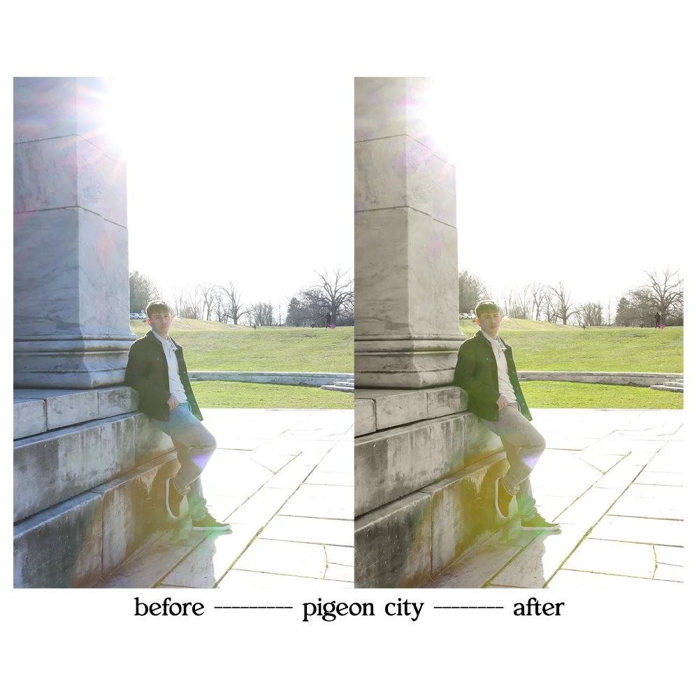pigeon3.jpg