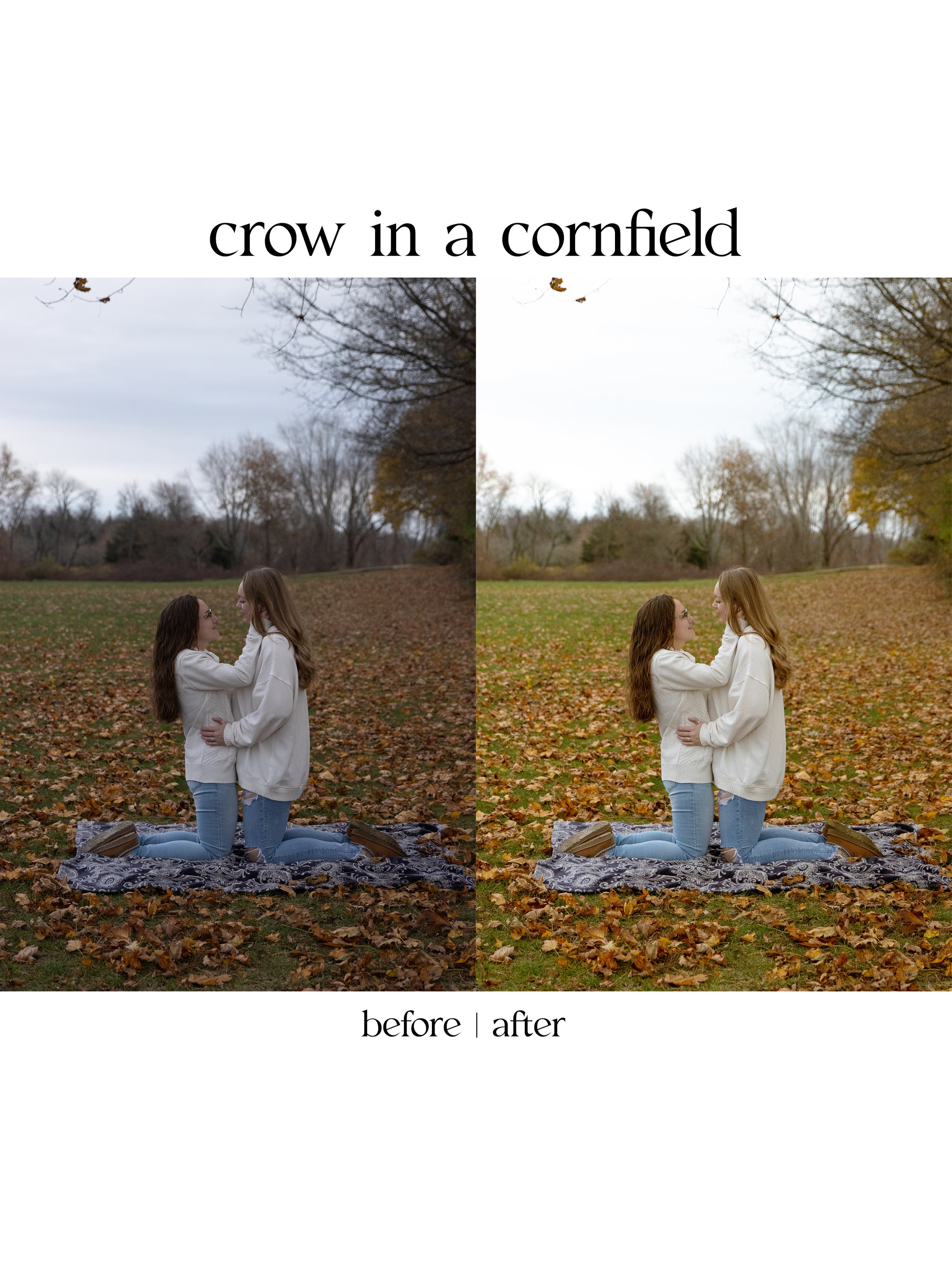 crow1.jpg