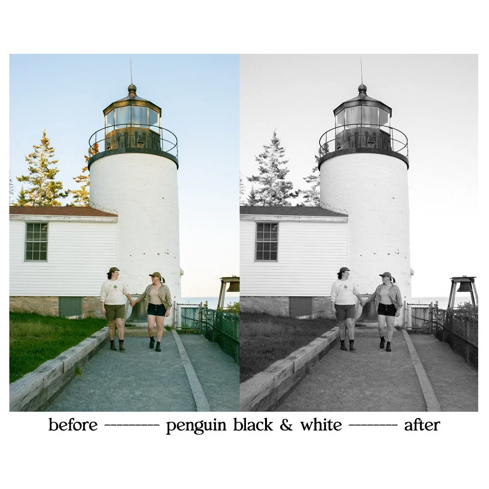 penguin.jpg