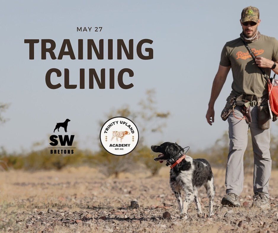 Bird dog training seminar on Saturday, May 27. All breeds welcome. From puppy foundation to finished dogs, attendees will participate in hands-on drills you can implement in your own training program. 

Please click to our website to learn more and R