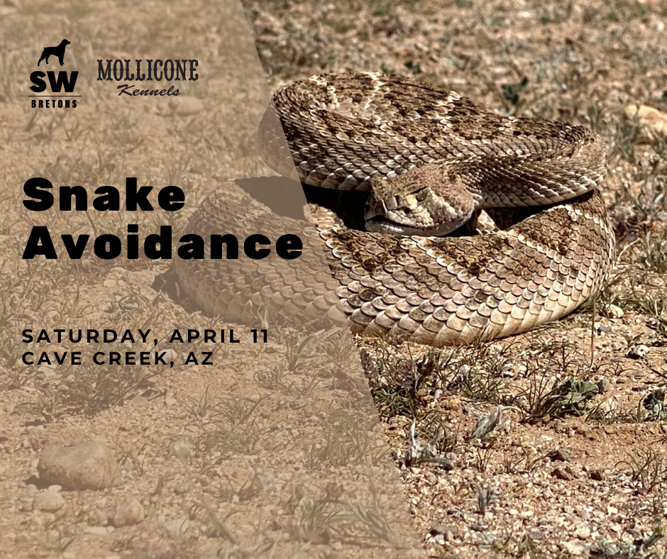 Snake Avoidance Training - April 11, 2026