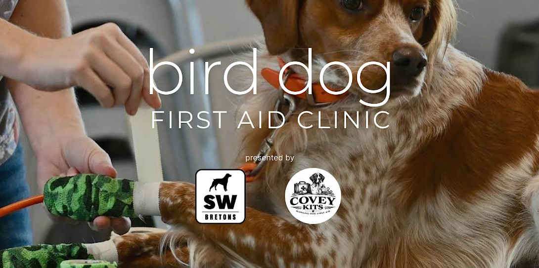 Bird Dog First Aid with Covey Kits