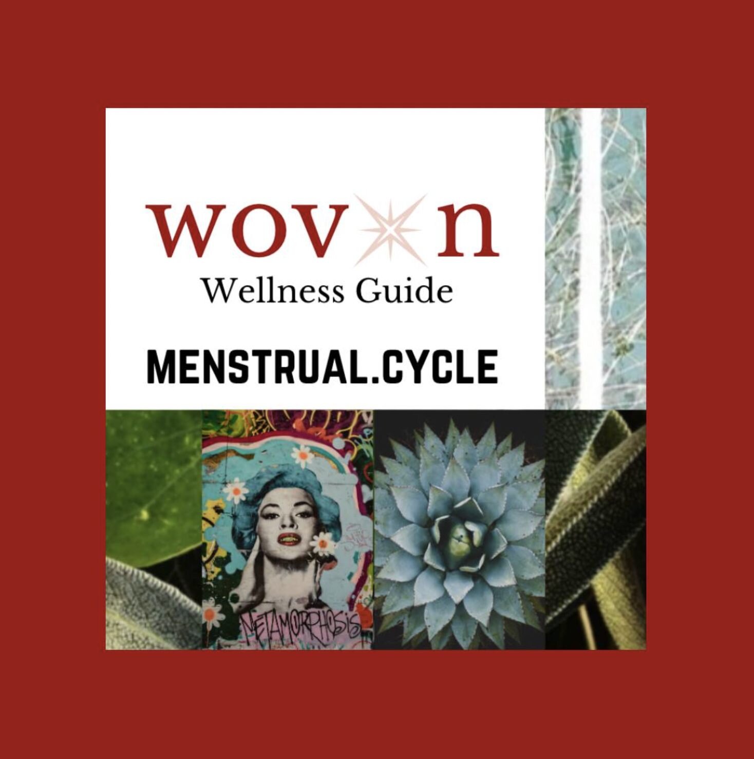 Our menstrual cycle is more than our period. For many of us, our menstrual bleed is the internal clock by which we keep time. The other phases of the cycle can seem irrelevant (unless we're trying to conceive), and years might go by without a review 