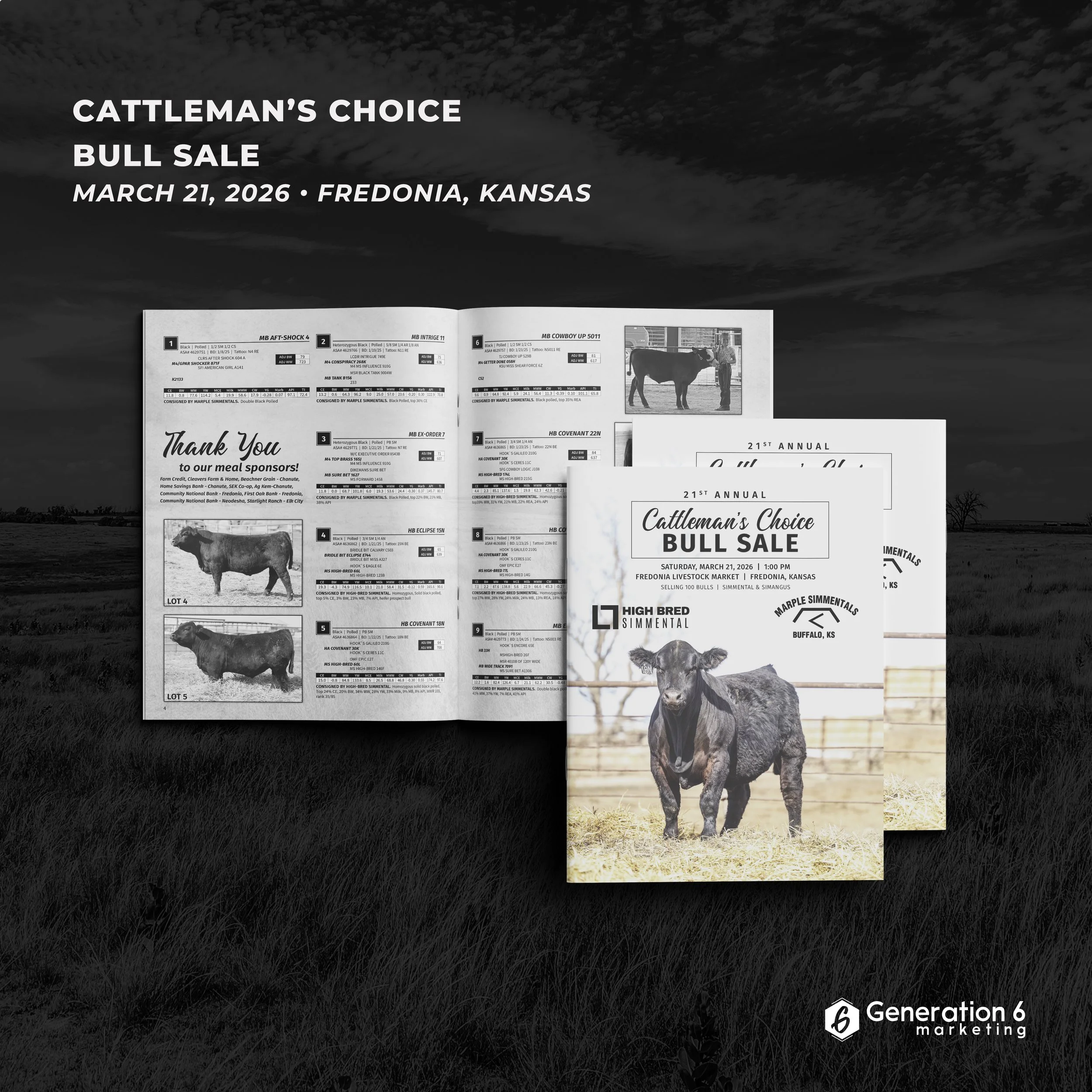 SALE CATTLE — High Bred Simmental