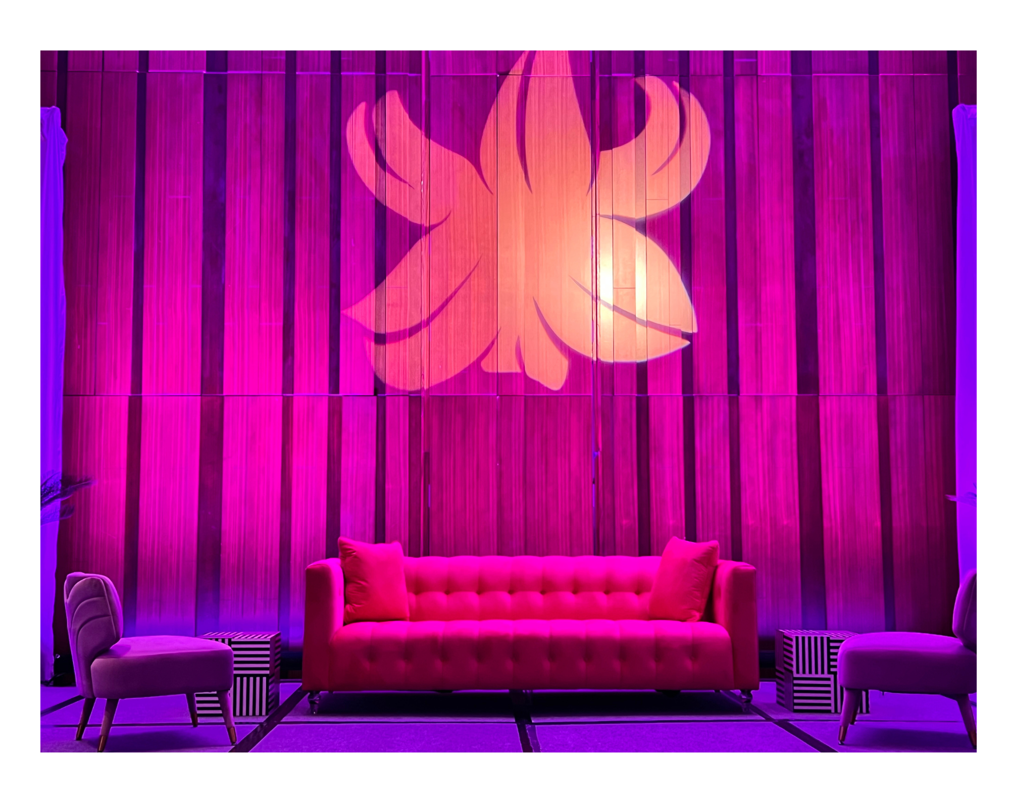 Untitled design (11).png