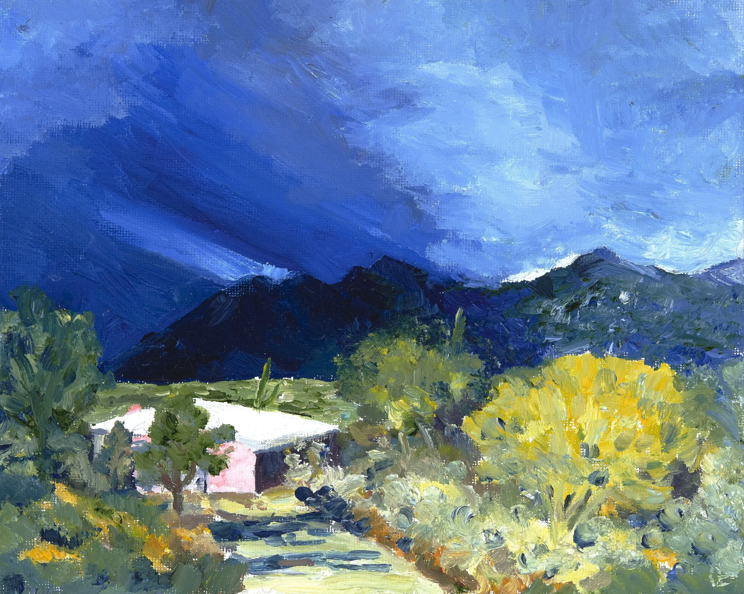 Monsoon,  Tucson, Az   8"x10"      Sold
