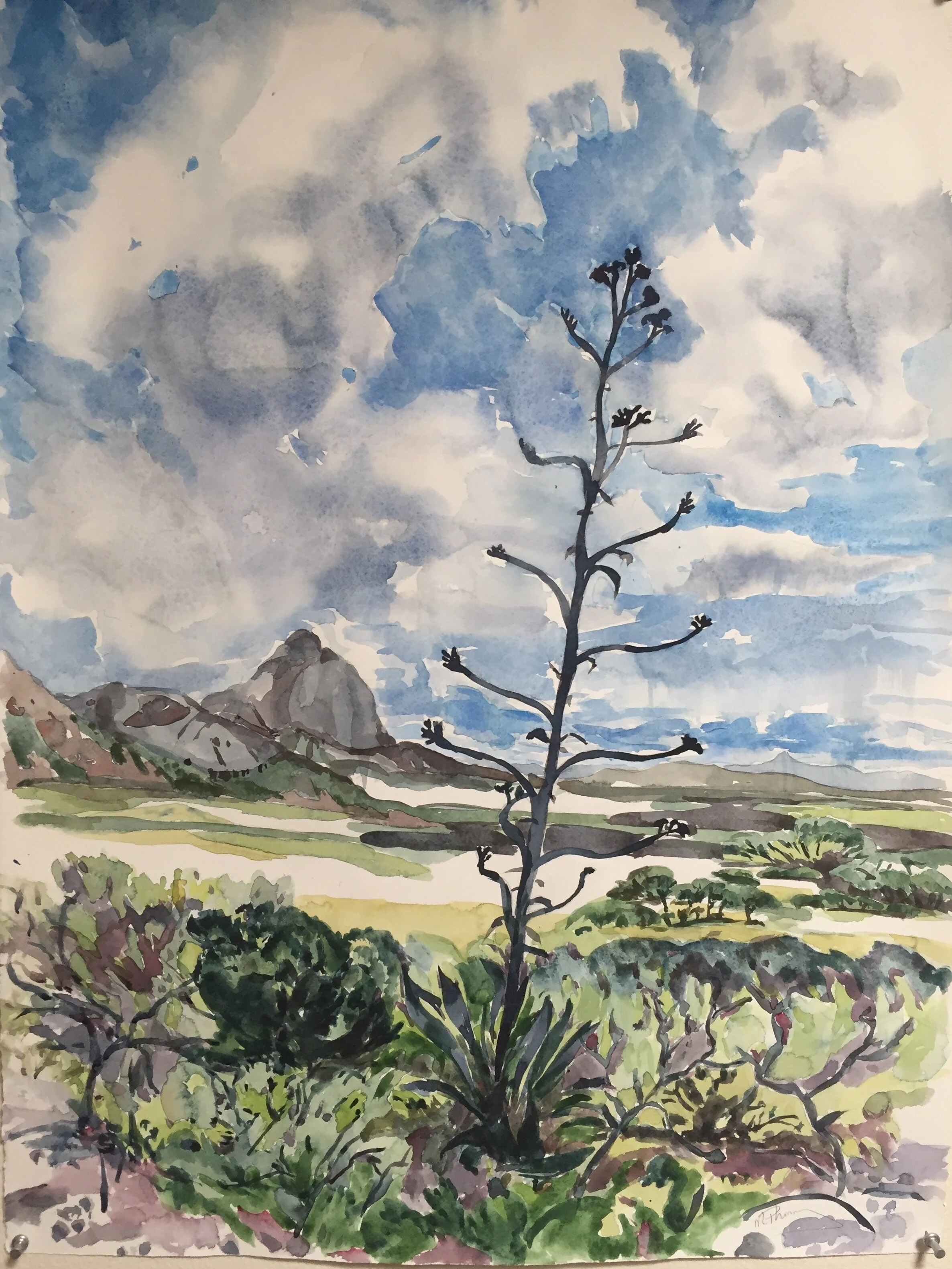 Watercolor Landscapes