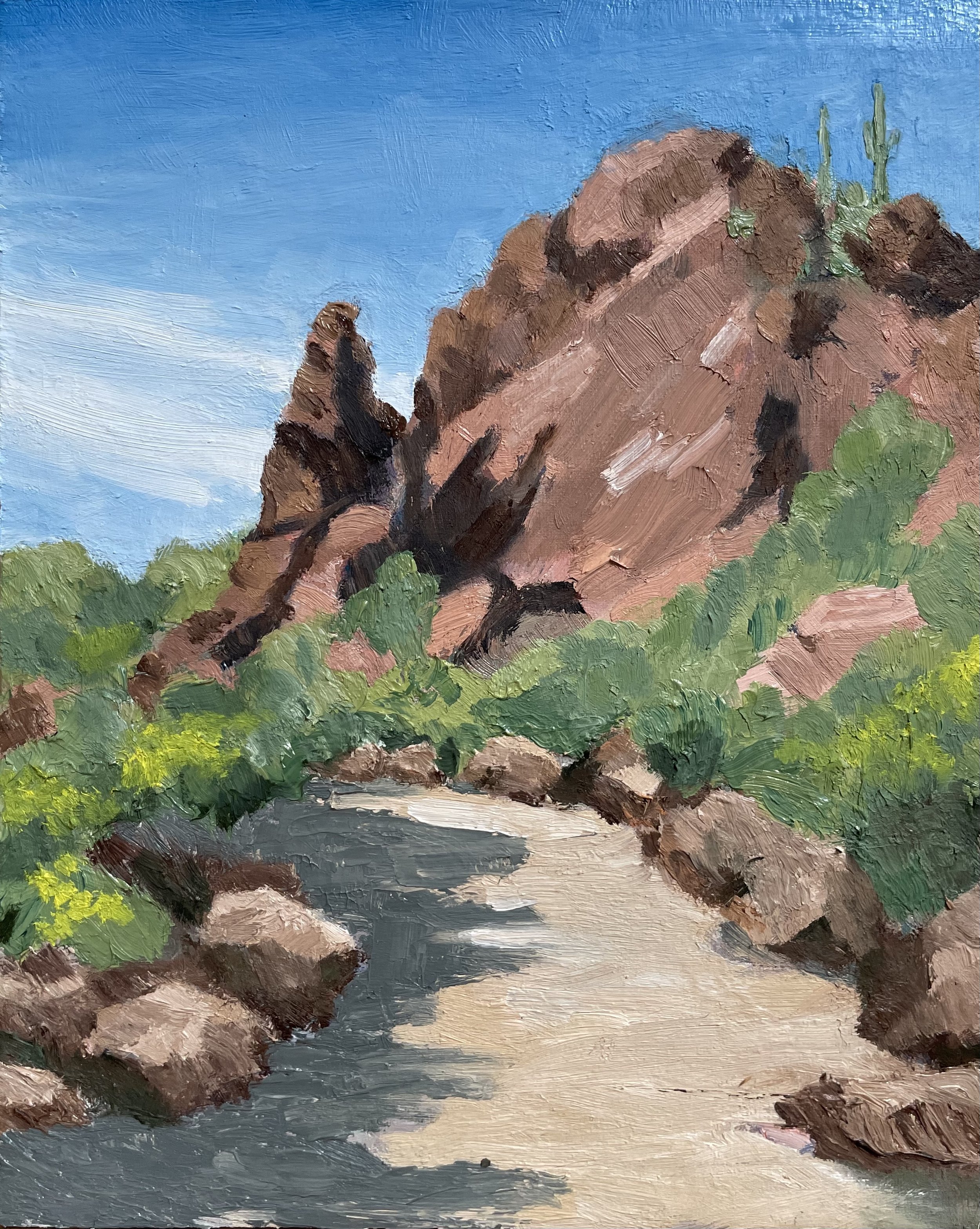 Picture Rocks, Tucson, Az  8"x10"   $400