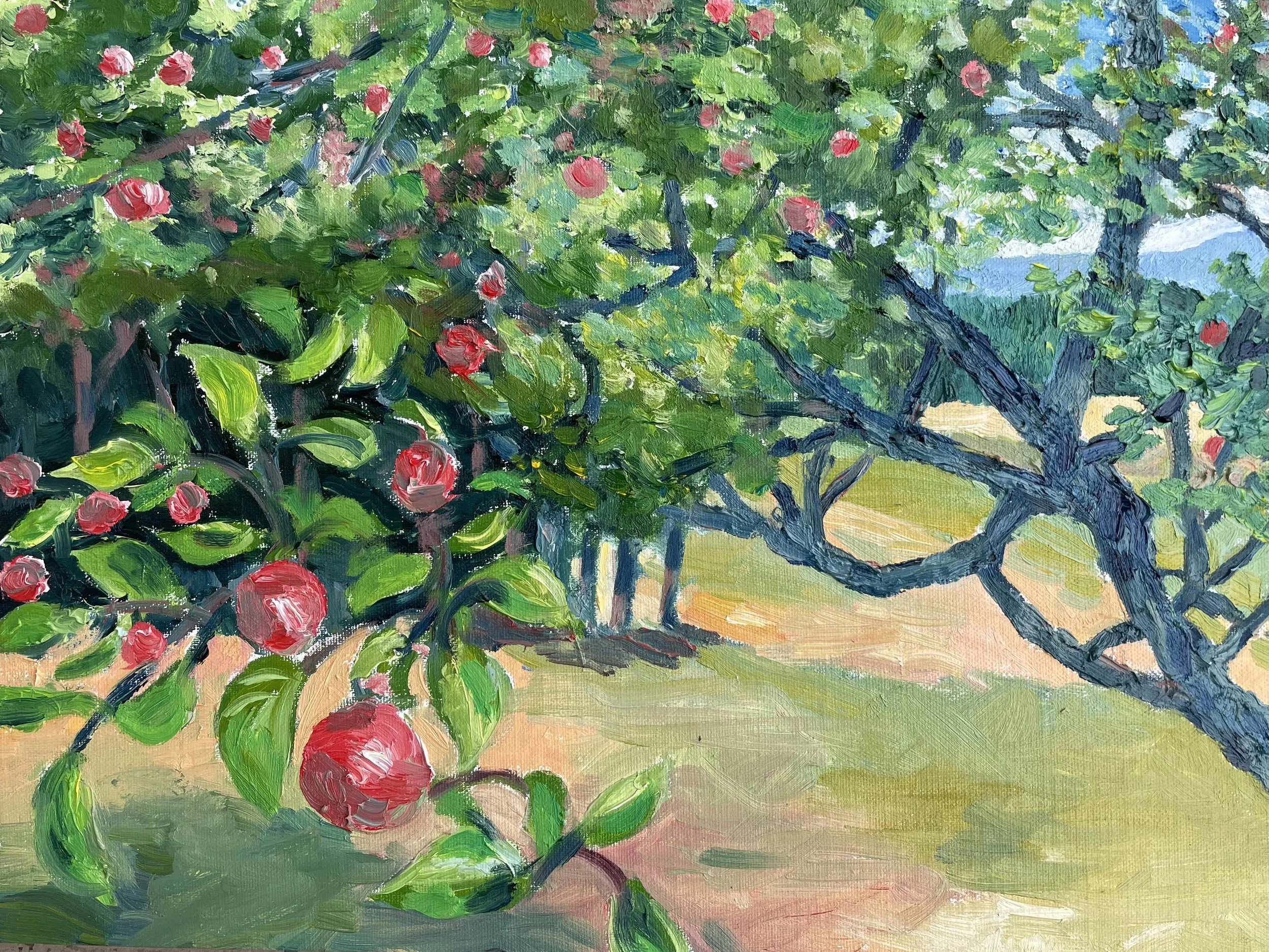 Apple Harvest time in Randolph  8"x10"  NFS
