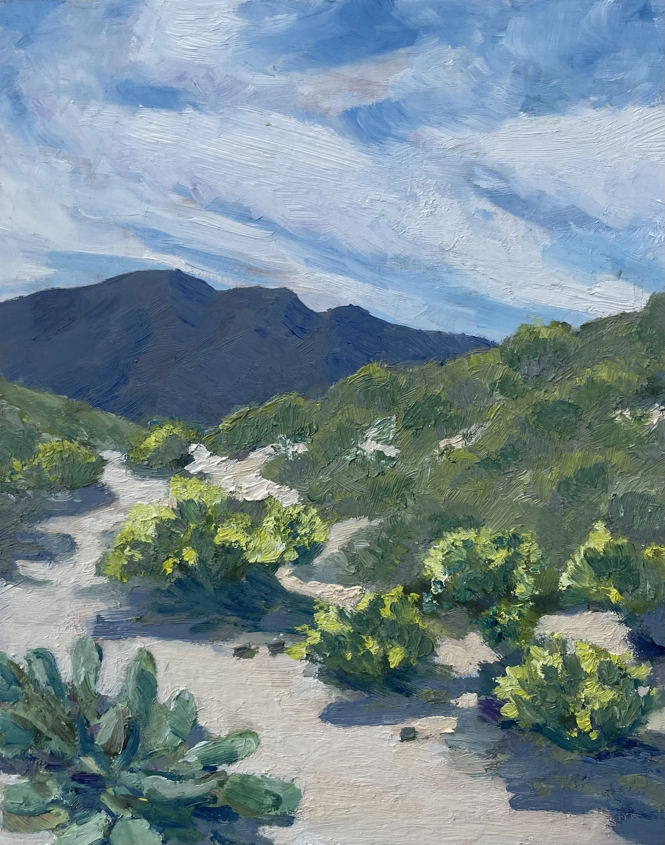 Tucson Mountains  8"x10"    $400 