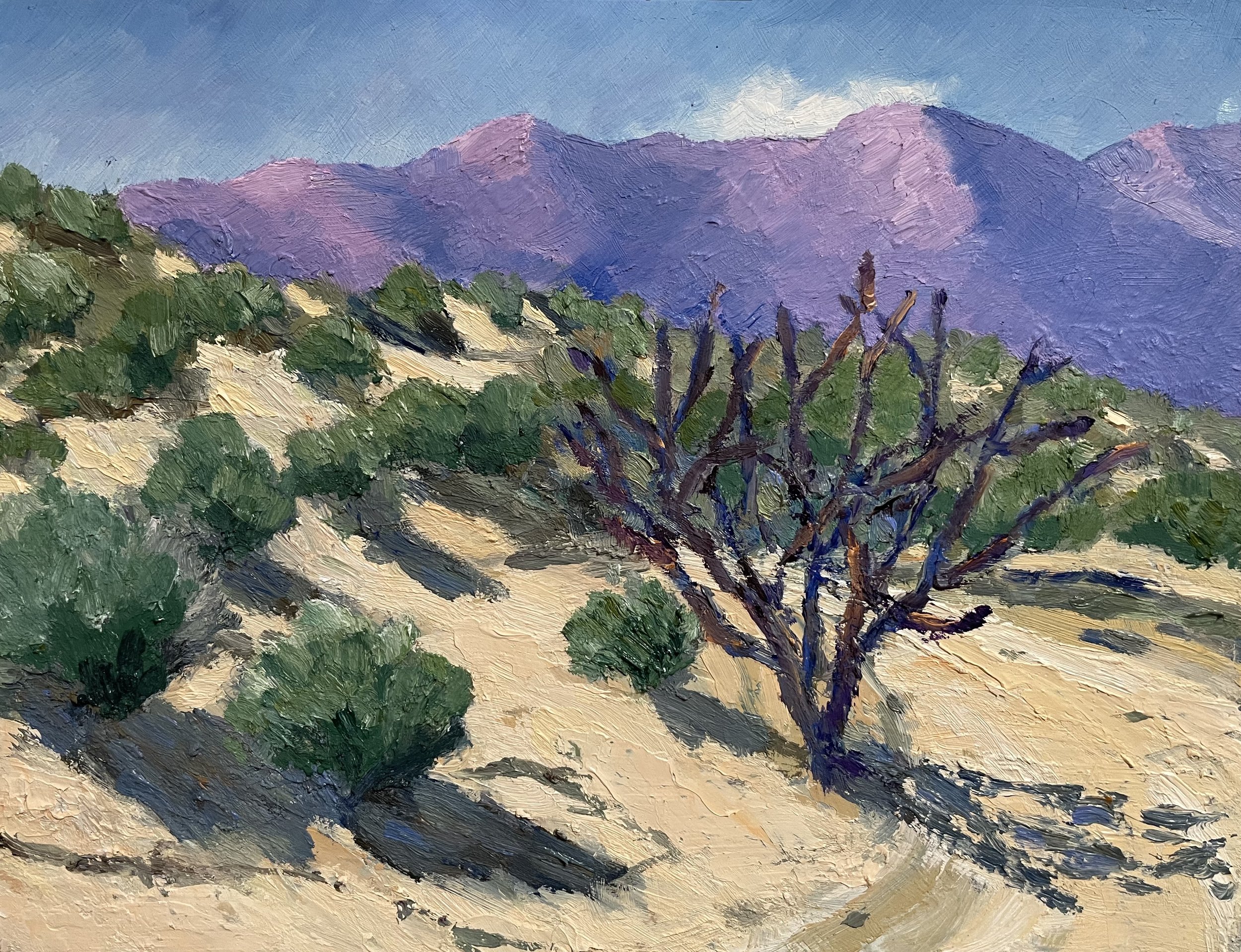 Blushing Mountains, Tucson, Az   8"x10"    $400