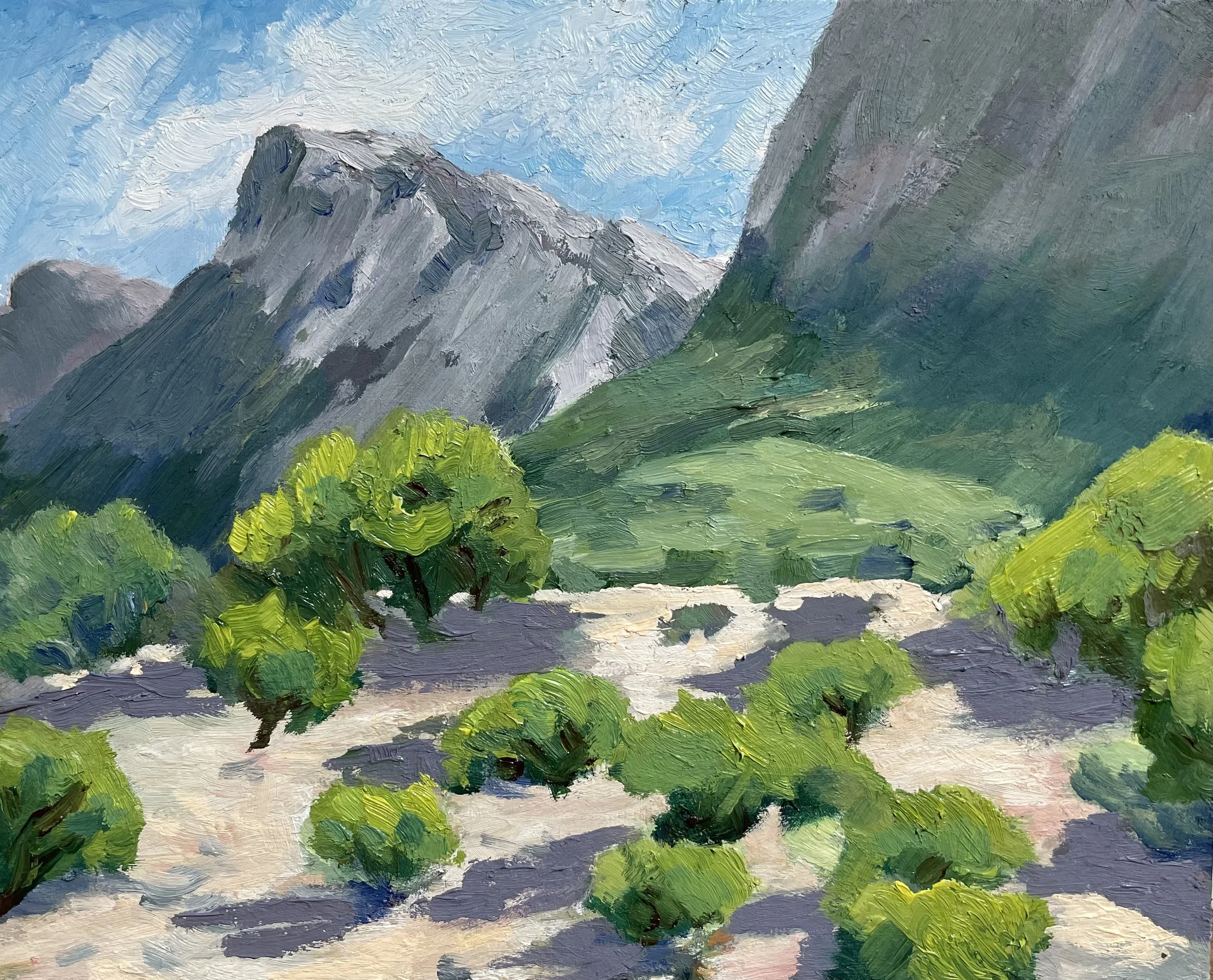 Romero Cliffs, Tucson, Az  8"x10"   $400