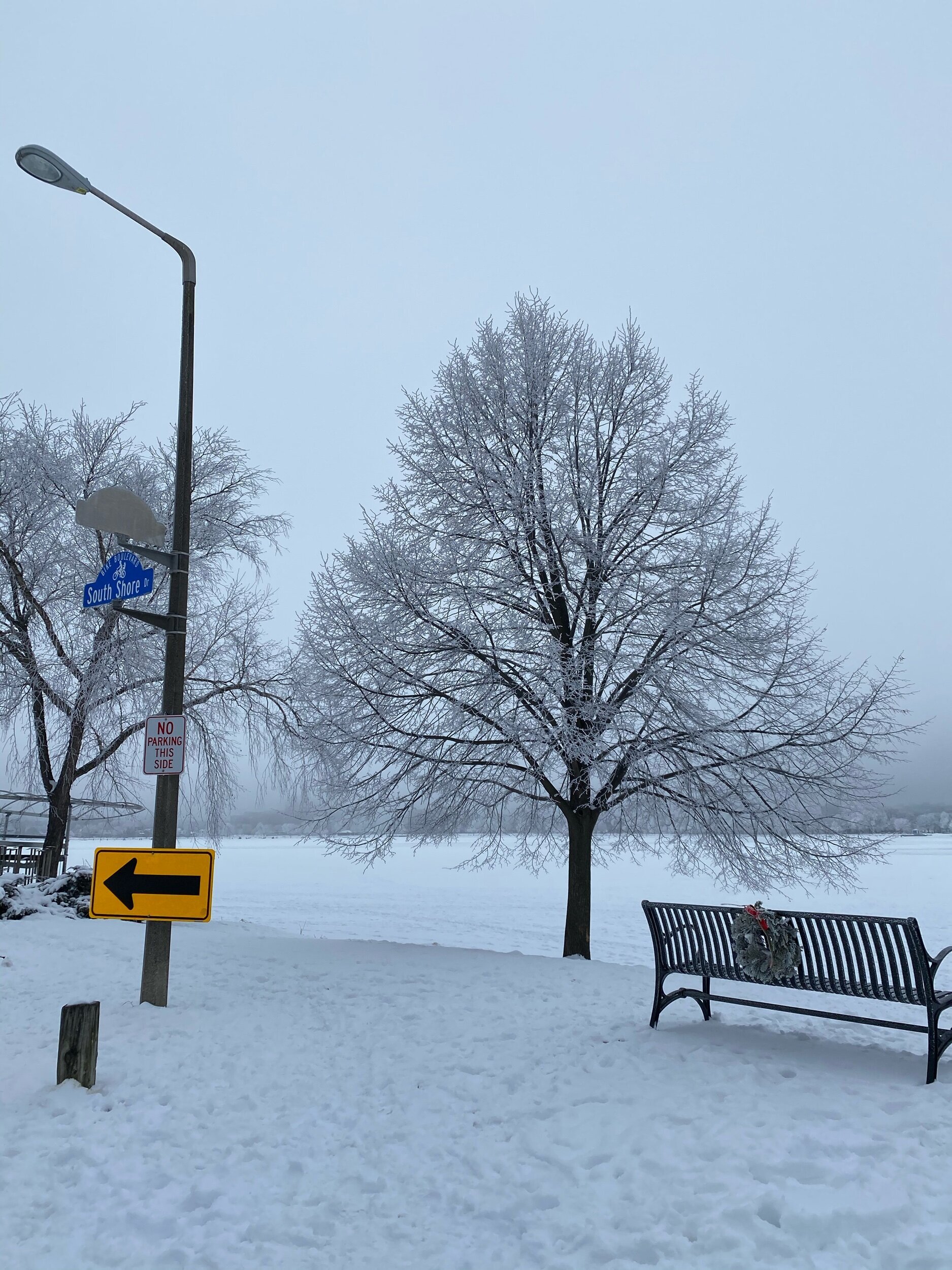 Give Space for the Tree